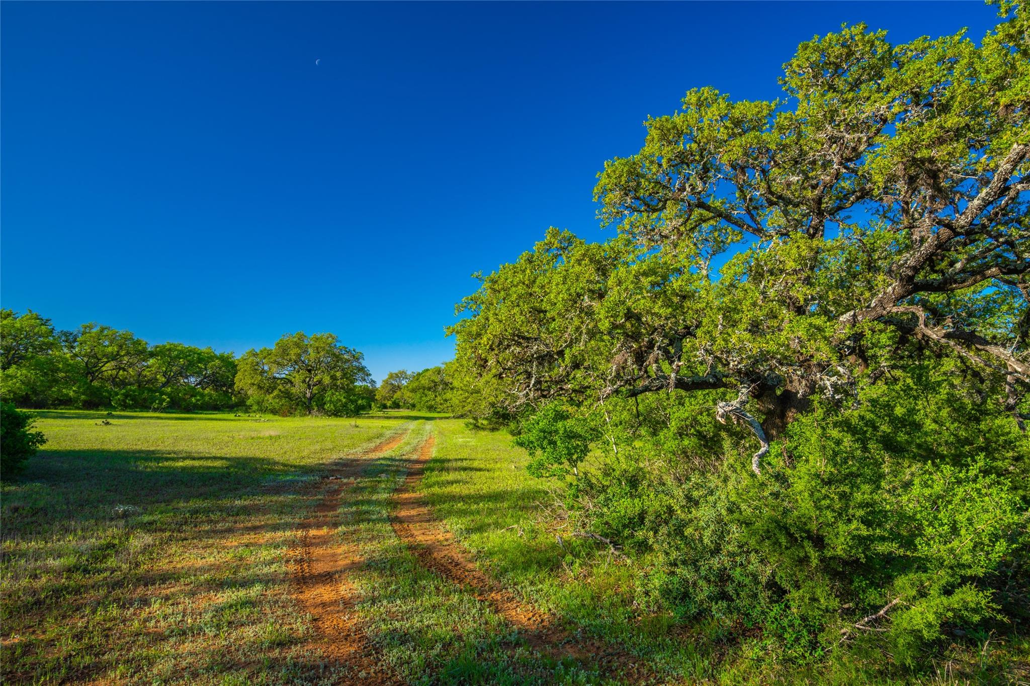 Image 11 of 39 For 892 Baird Ranch Rd