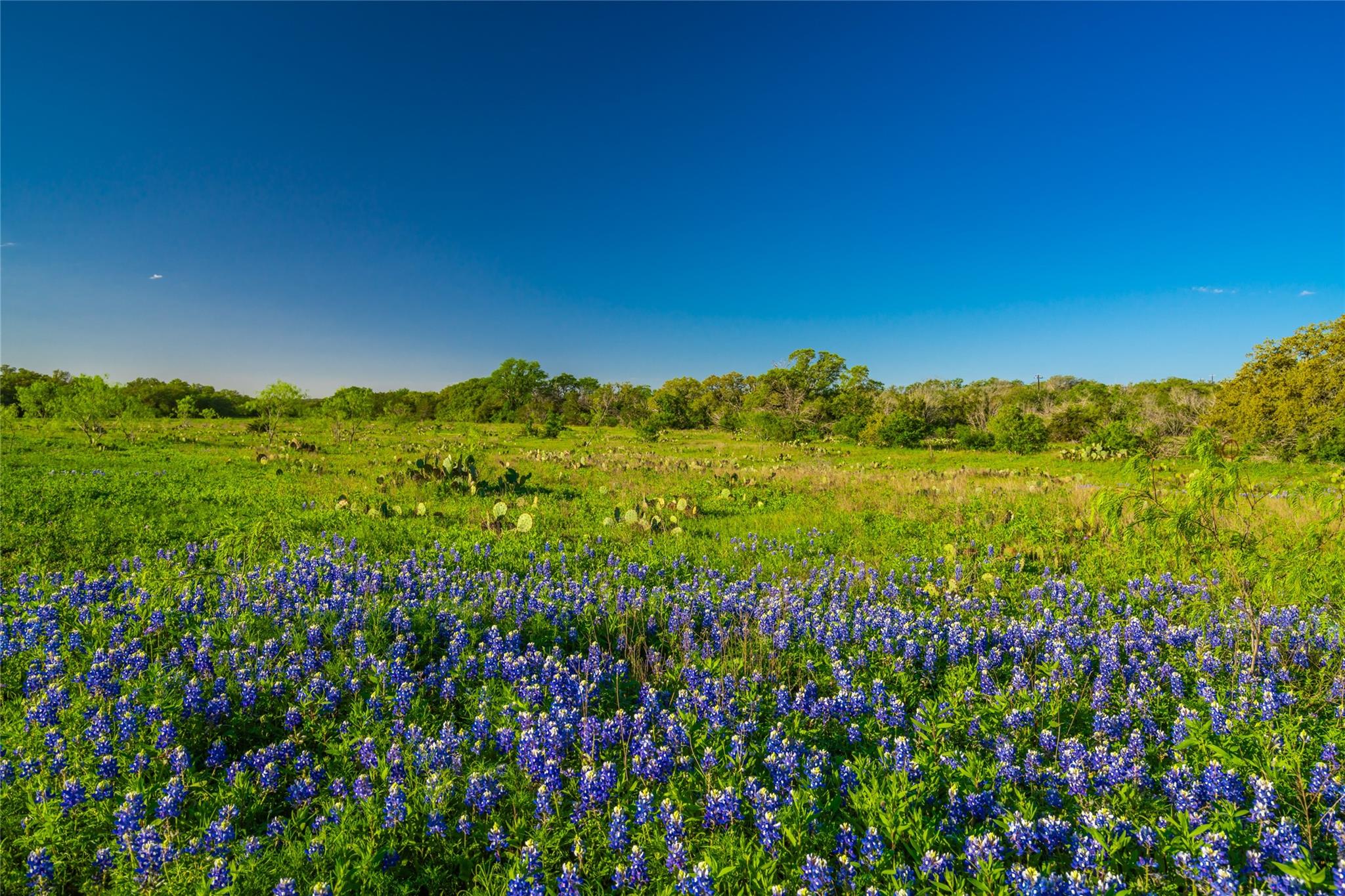 Image 14 of 39 For 892 Baird Ranch Rd