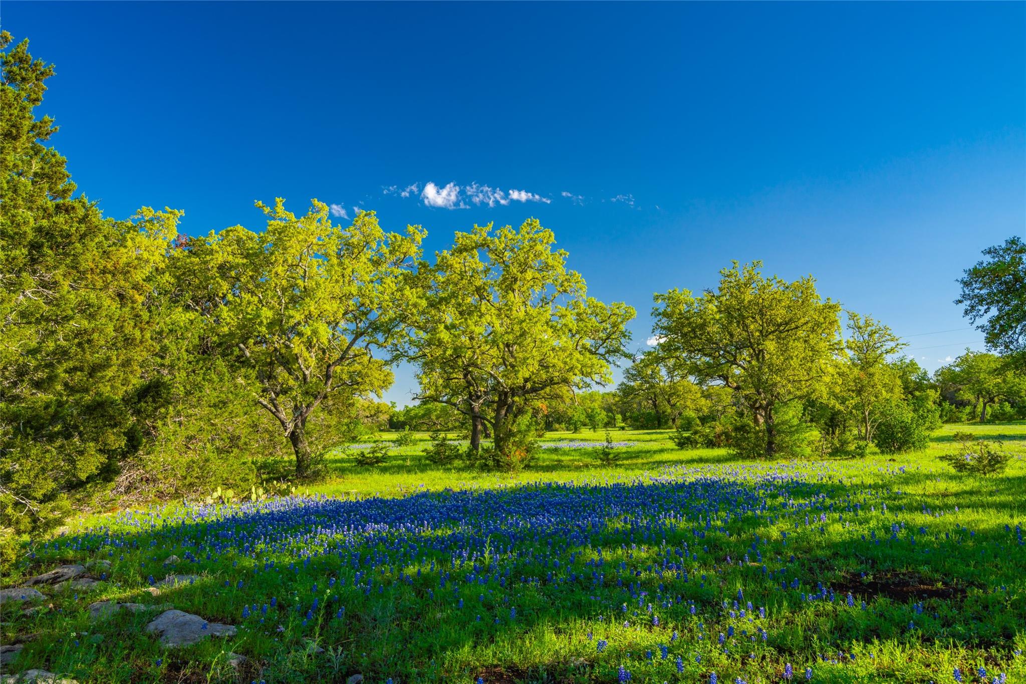 Image 34 of 39 For 892 Baird Ranch Rd