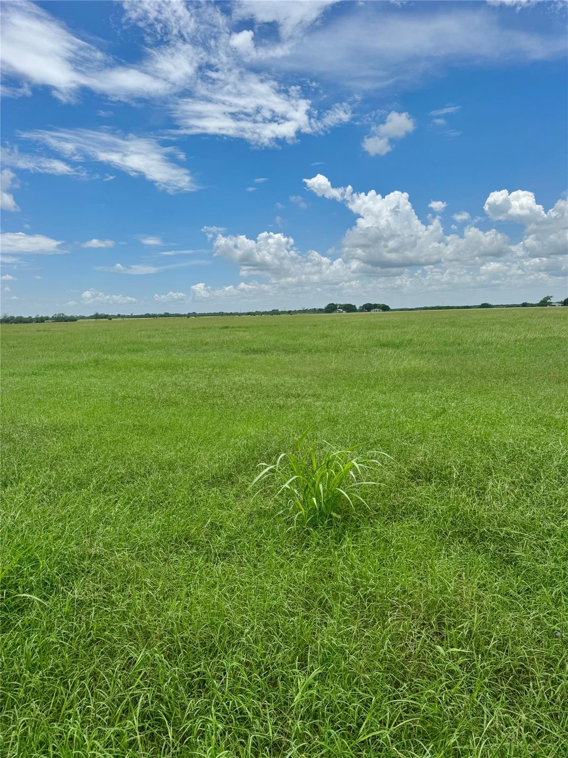 Details for Tbd Lot 1 Hoffman Rd, Seguin, TX 78155