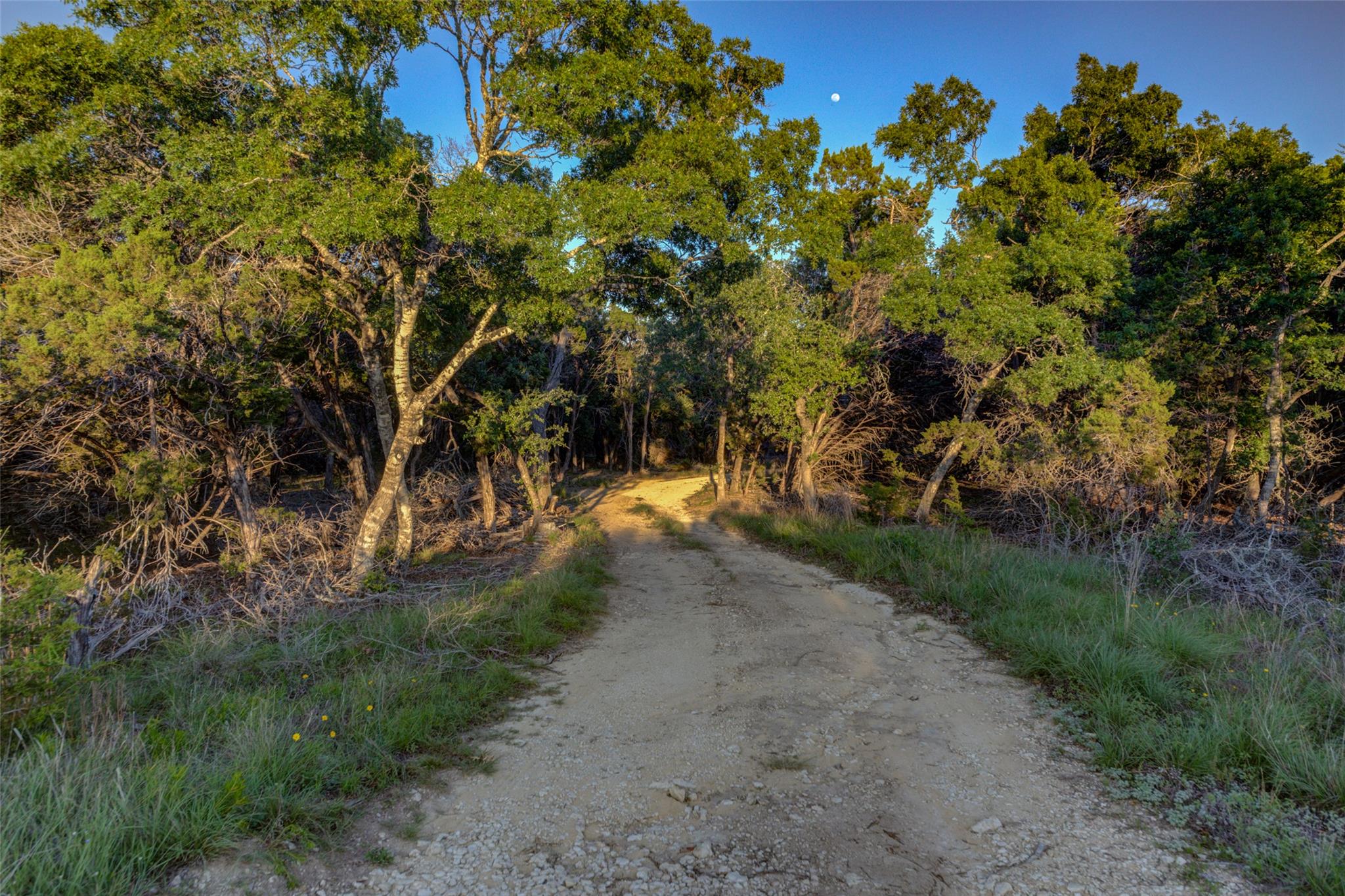 Image 32 of 39 For 297 White Ranch Rd