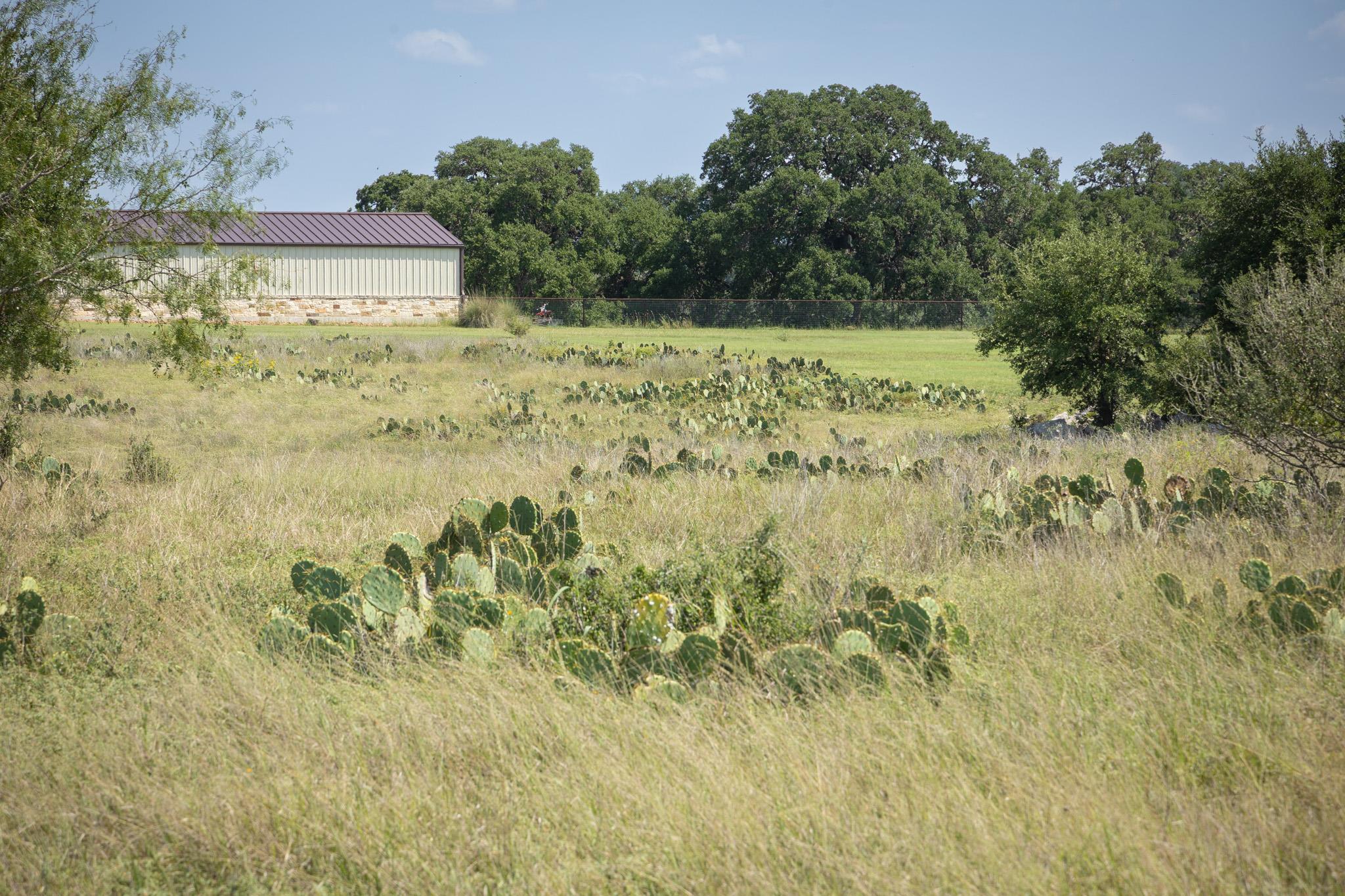 Image 18 of 23 For Tbd ( Lot 734) Salt Grass Trail Trl