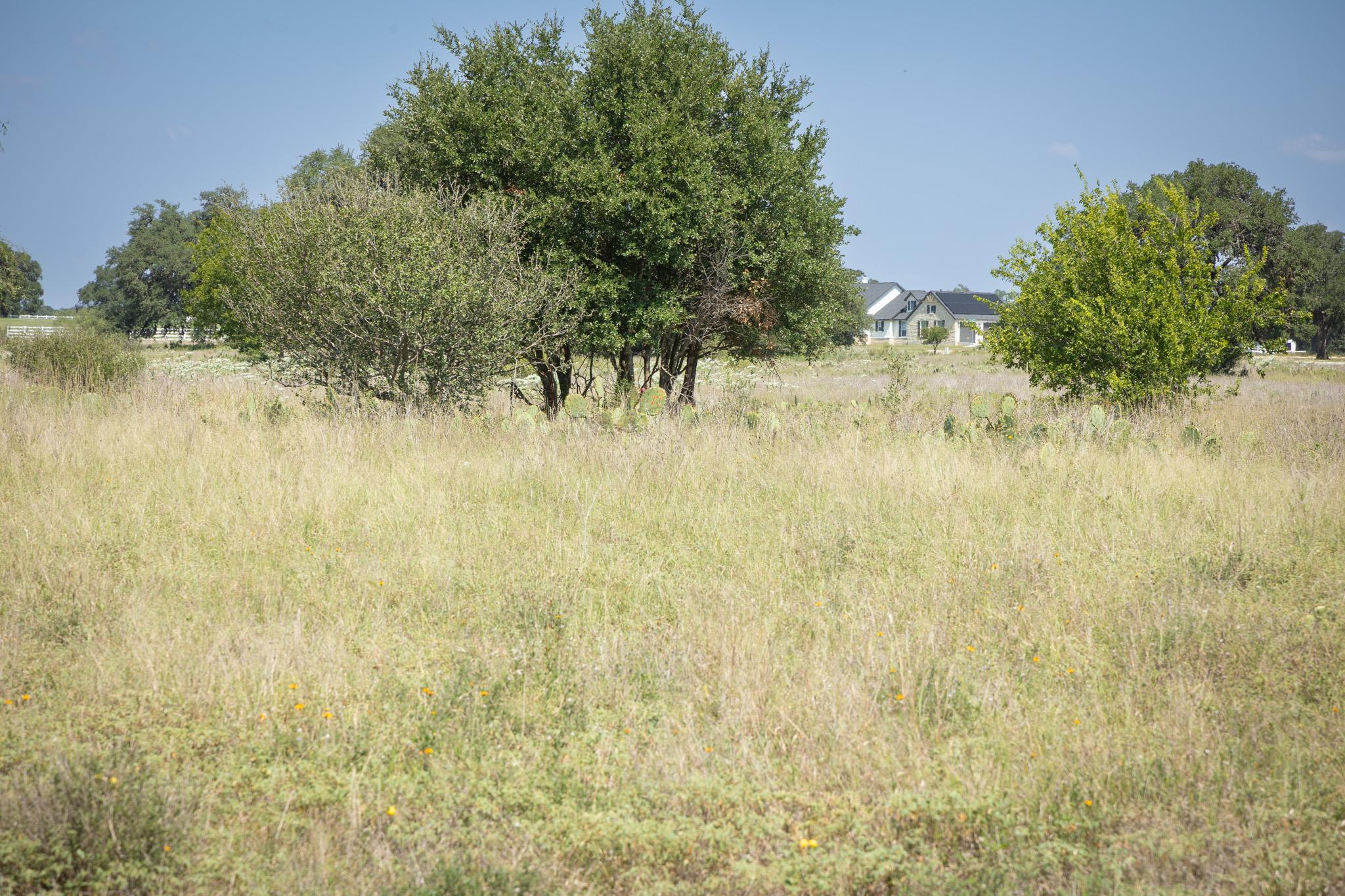 Image 19 of 23 For Tbd ( Lot 734) Salt Grass Trail Trl