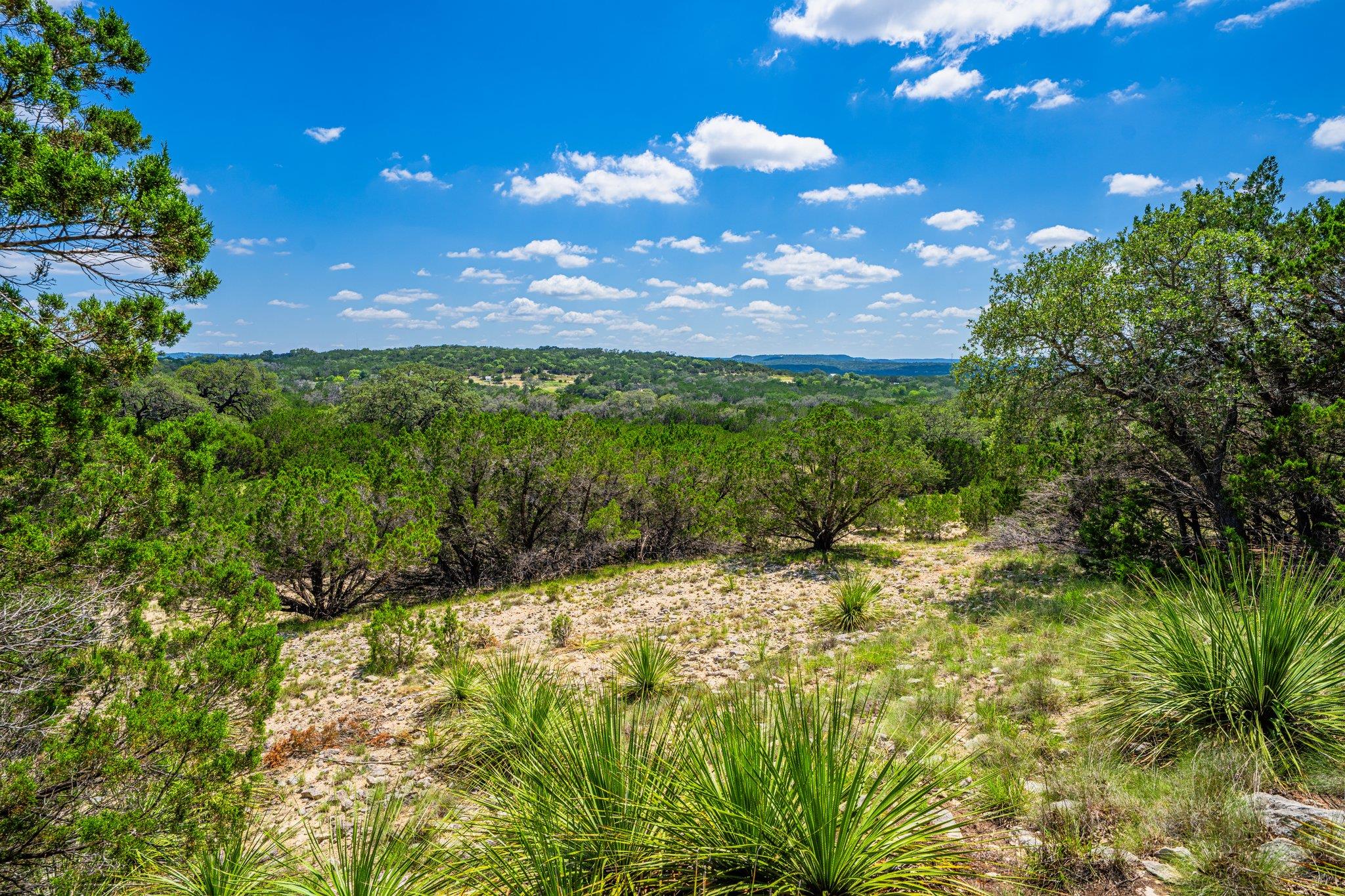 Image 31 of 40 For 106 Mesquite Trl