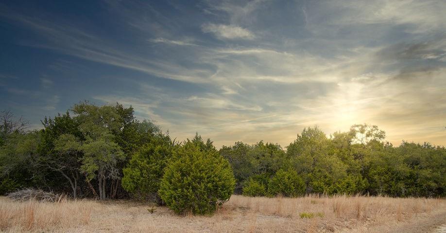 Details for 1055 Cielo Springs Dr, Blanco, TX 78606