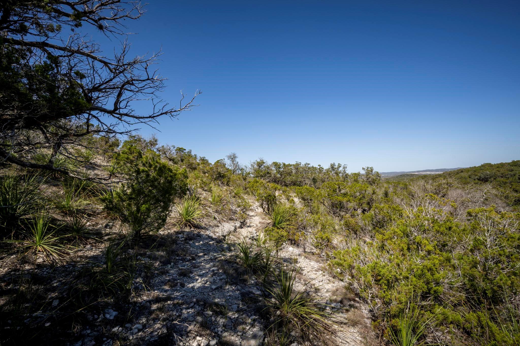 Image 8 of 11 For 29035 Verde Mountain Trl