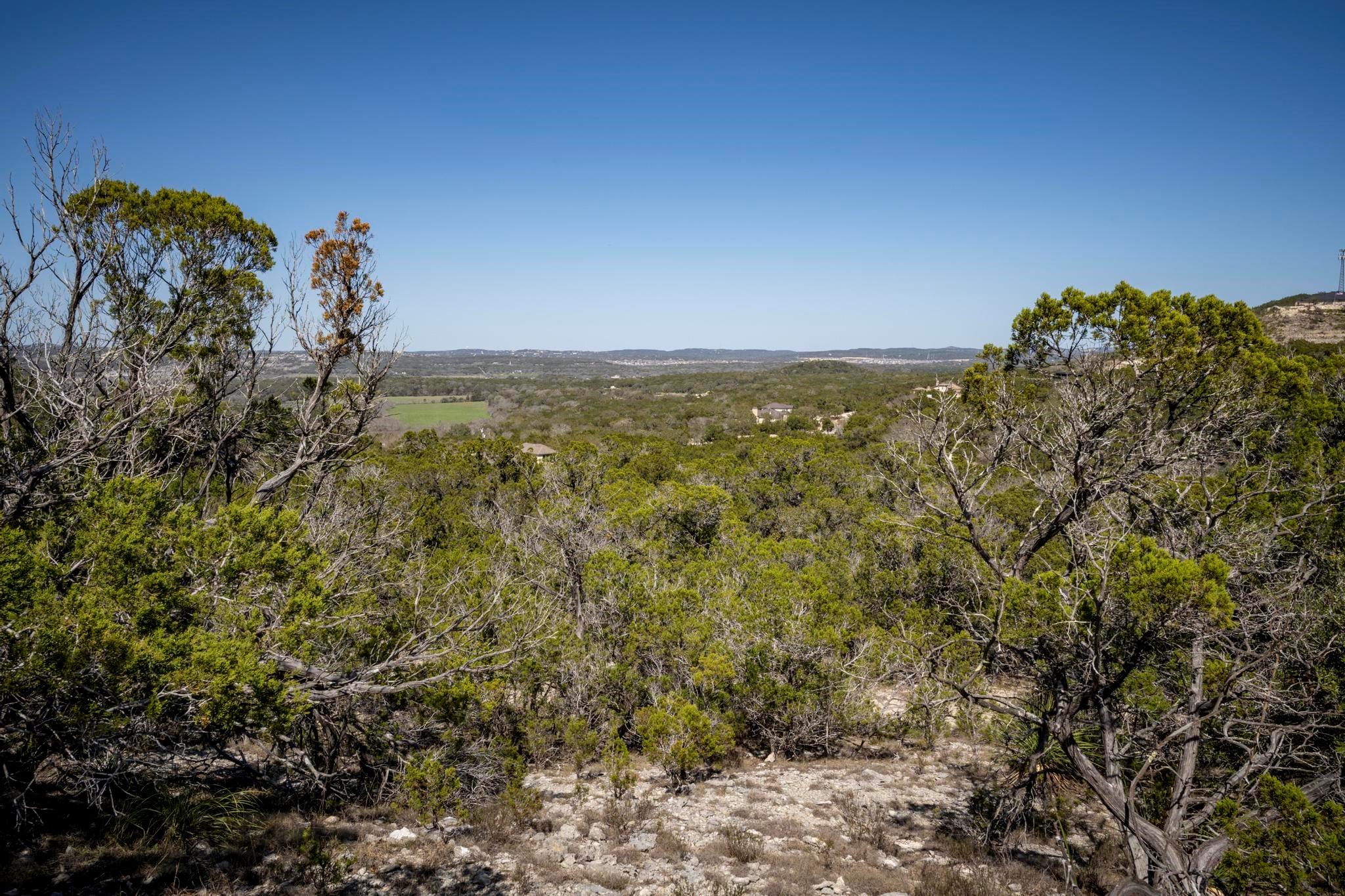 Image 9 of 11 For 29035 Verde Mountain Trl