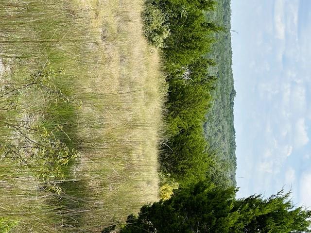 Image 4 of 7 For Tbd Lot 1 Soaring Eagle Dr