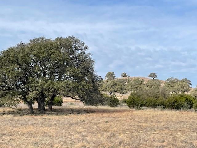 Image 11 of 11 For 2078 Ranch Road 962 Lot 18 Rd