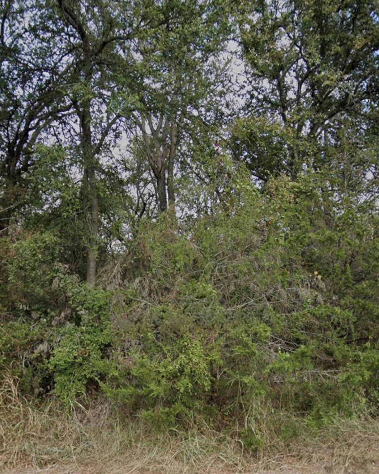 Details for 208 Sendero Blvd, Cedar Creek, TX 78612