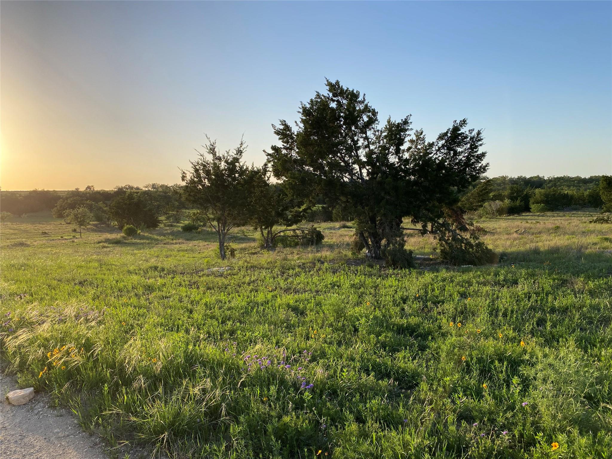 Details for 47-lot Flying Owl Dr, Johnson City, TX 78636