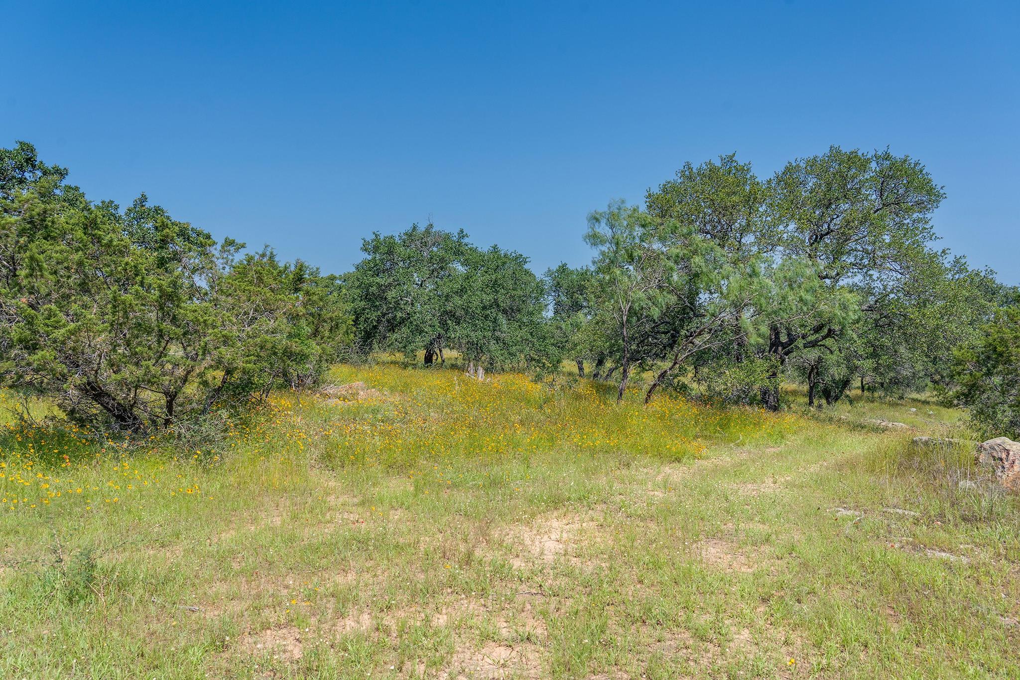 Image 9 of 21 For 0 Fm 2147 & Sh 71 Highway