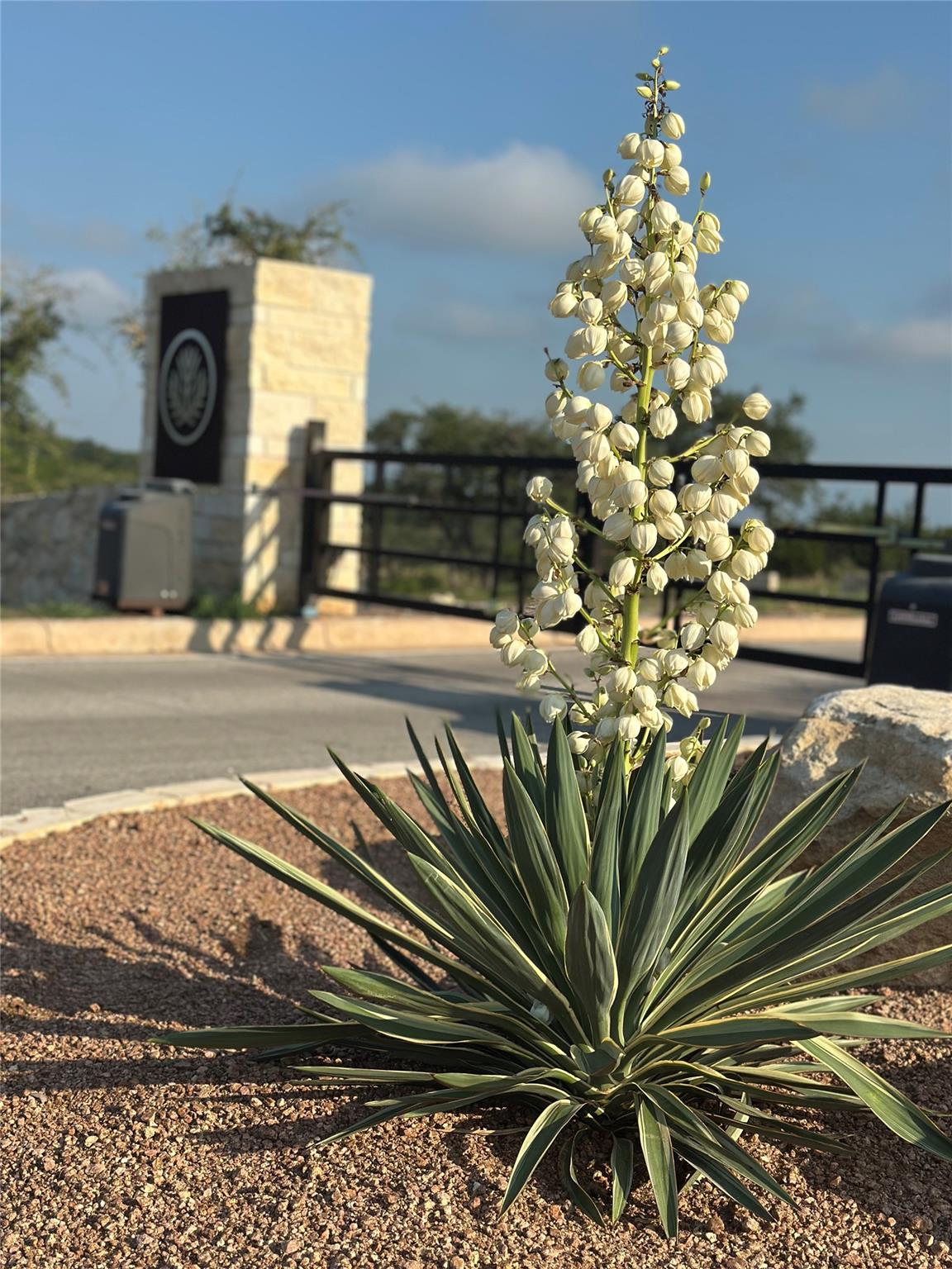 Image 5 of 16 For Lot 10 - 12.6 Acres - Round Mountain Reserve Dr