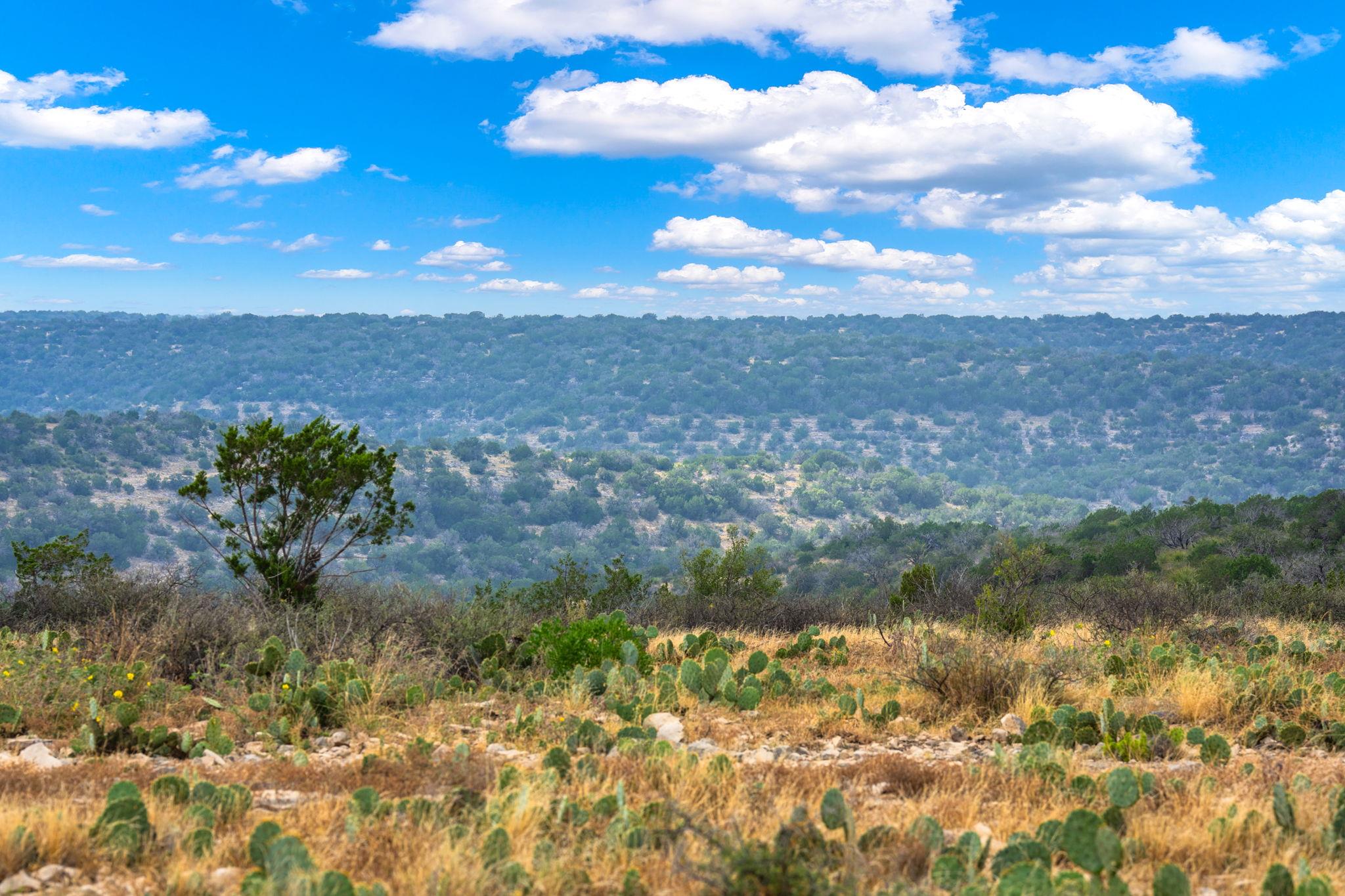 Image 18 of 37 For 13812 High Lonesome Rd