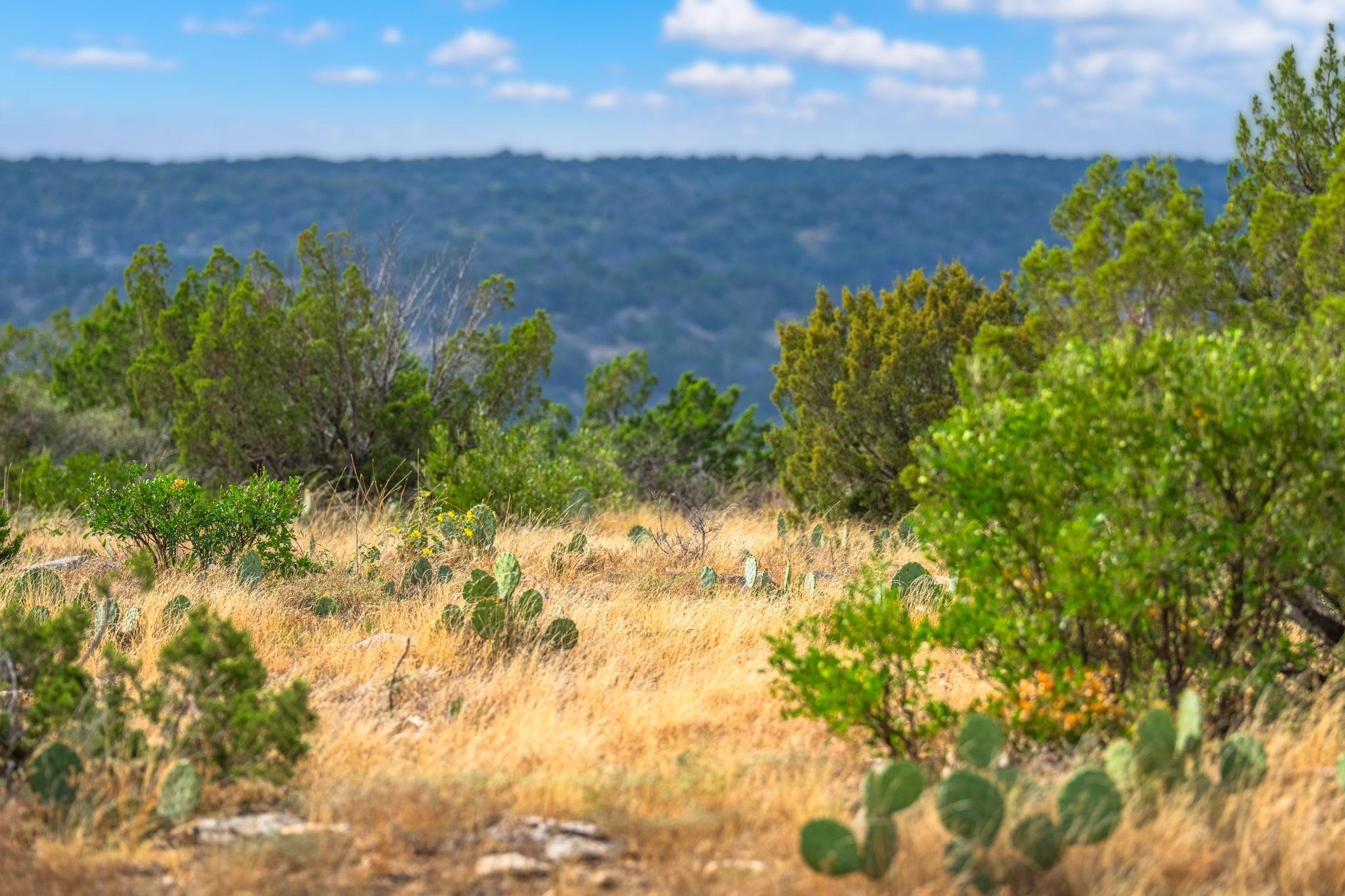 Image 19 of 37 For 13812 High Lonesome Rd