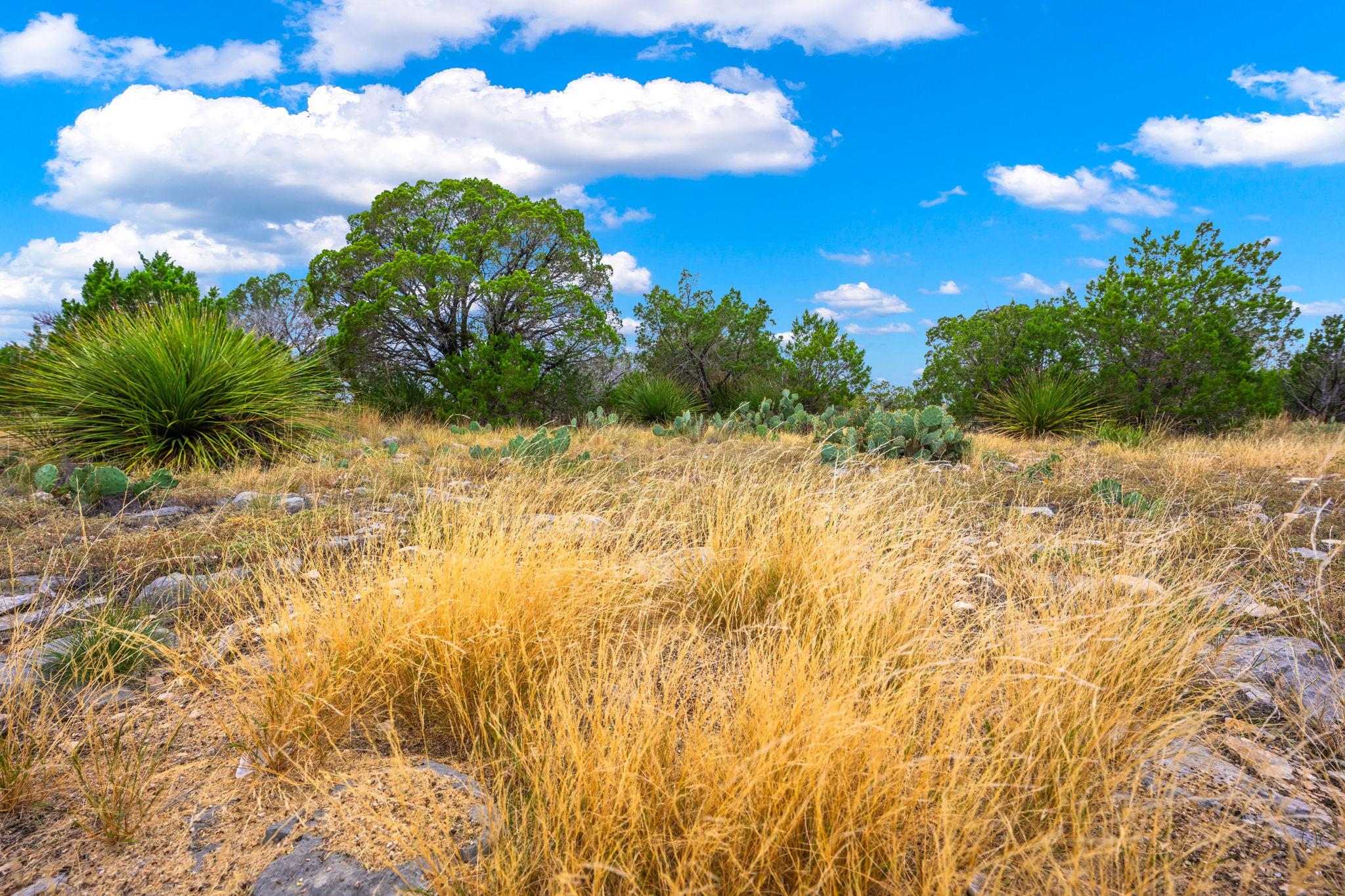 Image 20 of 37 For 13812 High Lonesome Rd