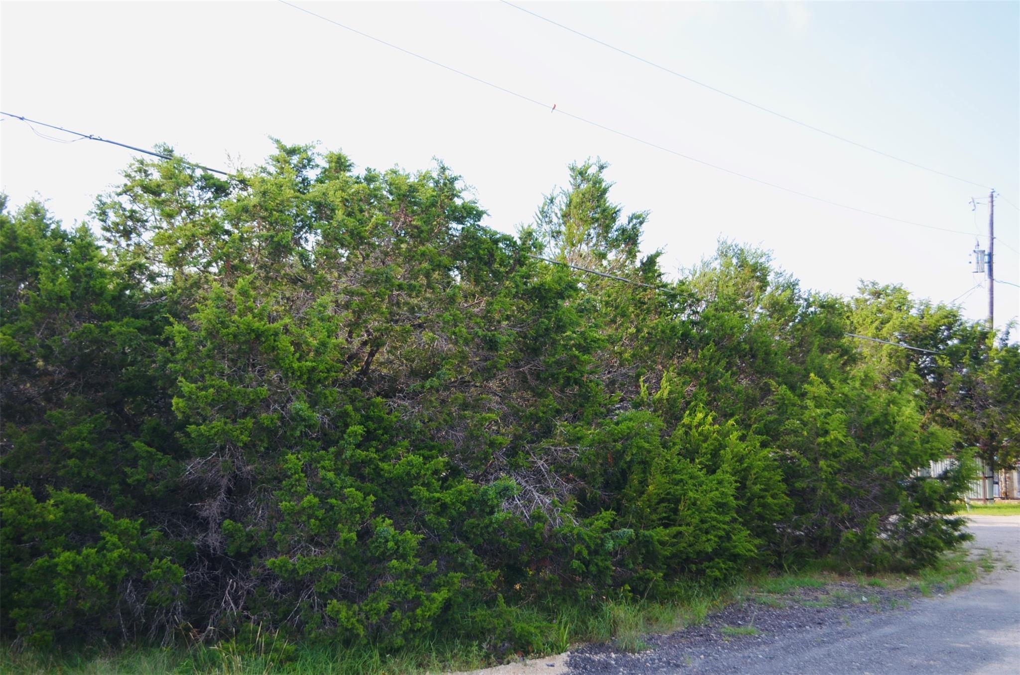 Details for 419 Thunderhead St, Spring Branch, TX 78070