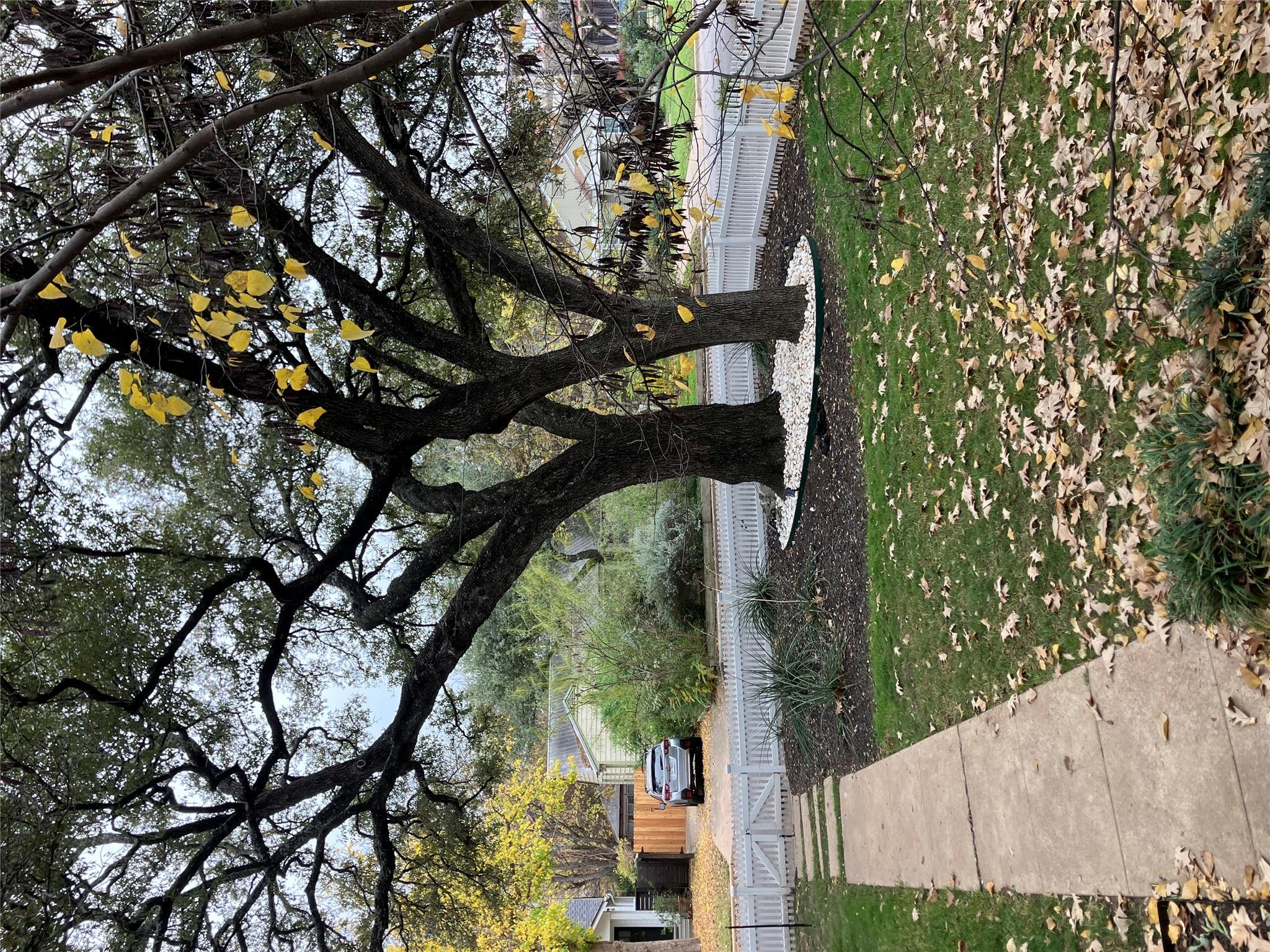 Image 40 of 40 For 1916 39th St