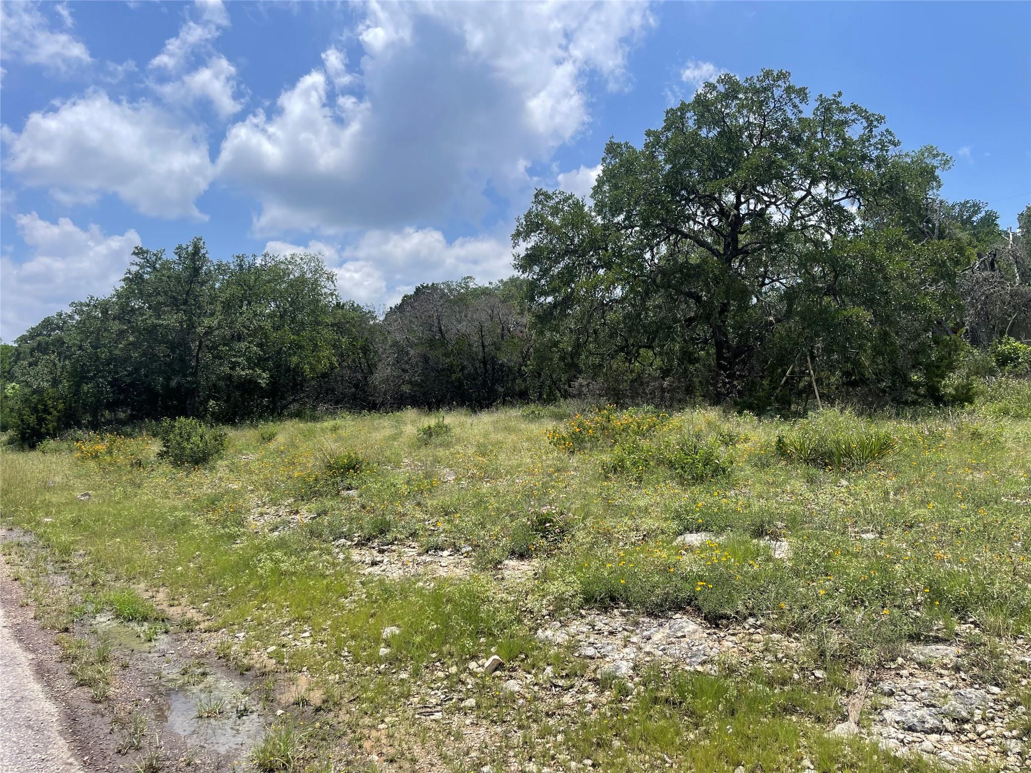Listing Details for 653 Hillclimb, Canyon Lake, TX 78133