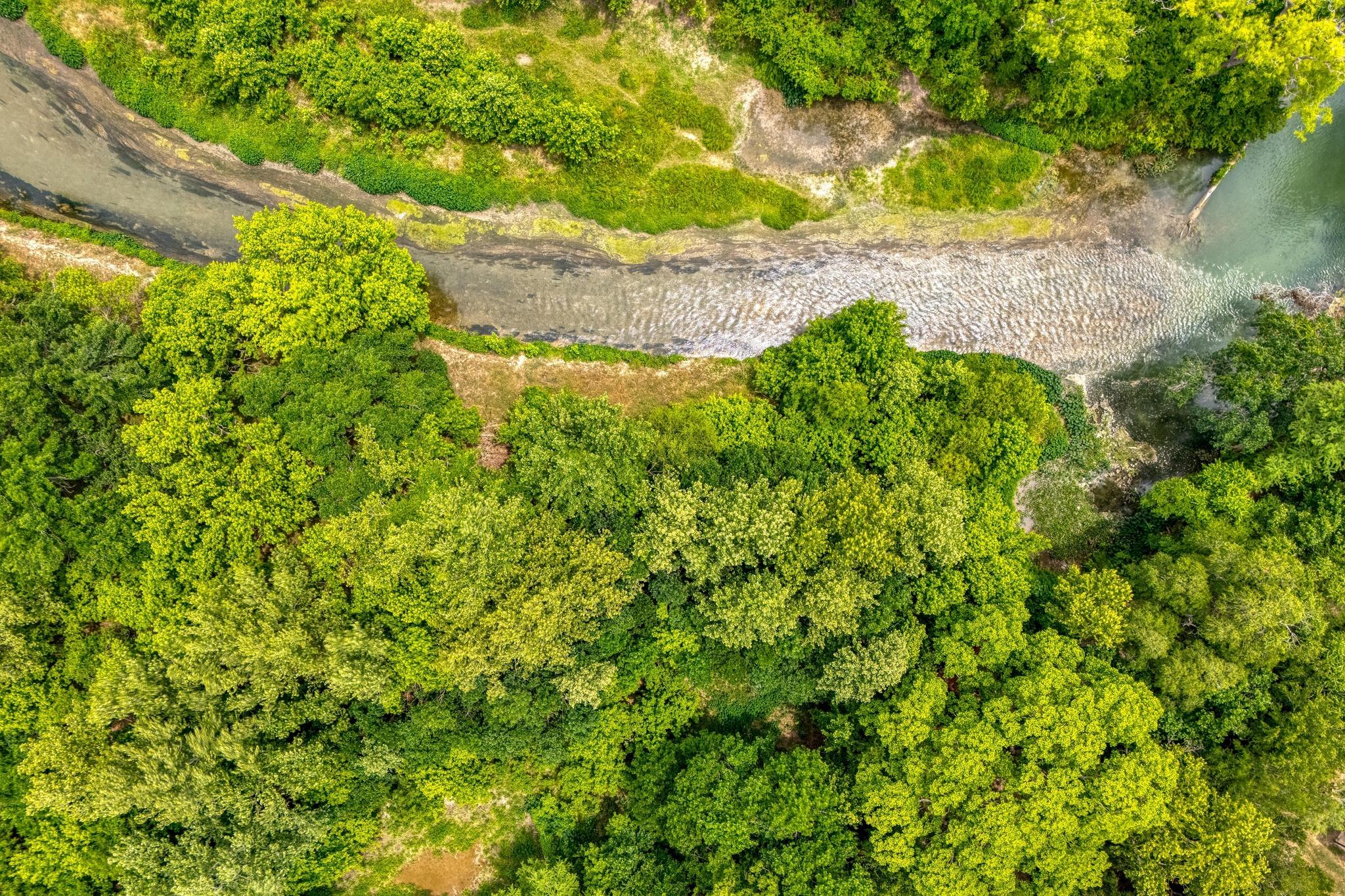 Image 38 of 40 For 200 Red Bird Ln