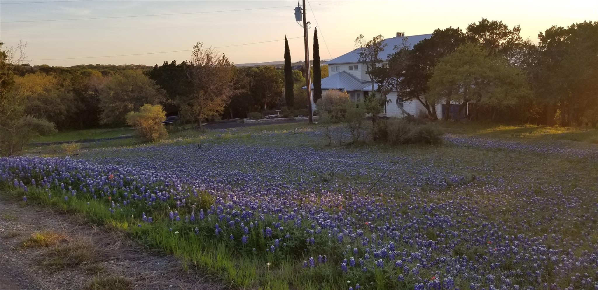 Image 36 of 40 For 4401 Sunset Cliff Rd