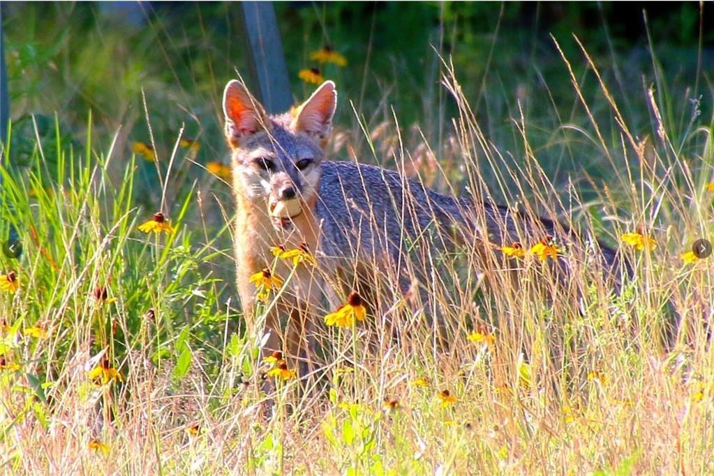 Image 18 of 23 For 920 Crosswind Dr