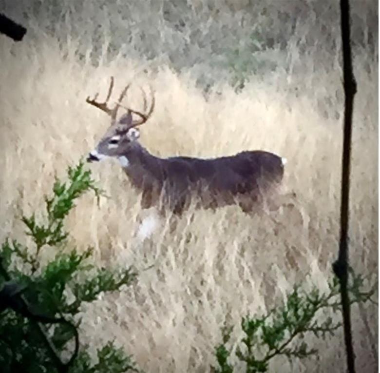 Image 19 of 23 For 920 Crosswind Dr