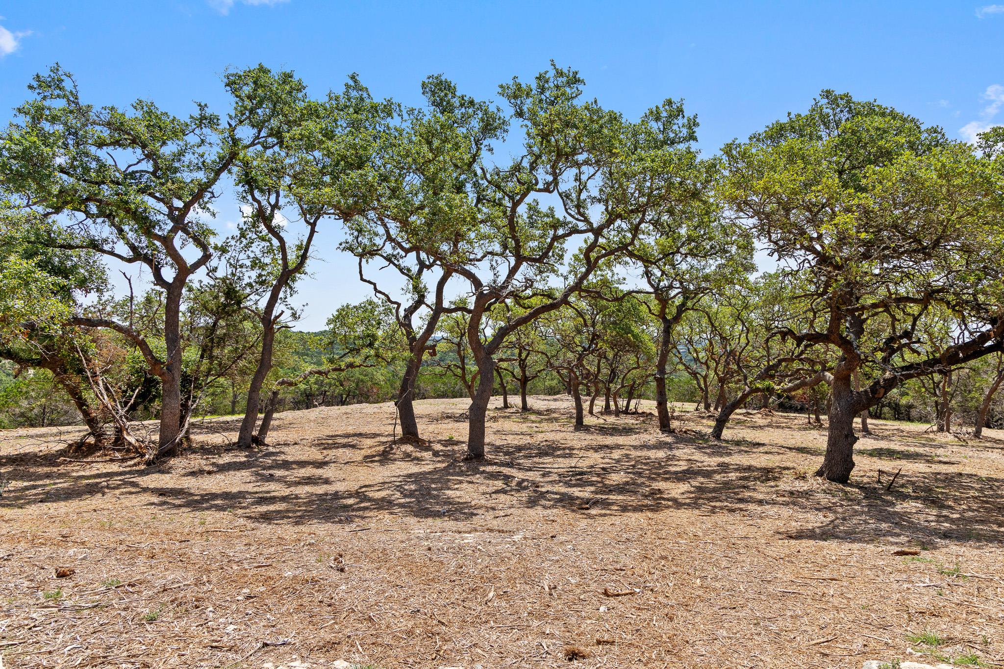 Image 15 of 17 For 9475 Fm 32, Lot 9