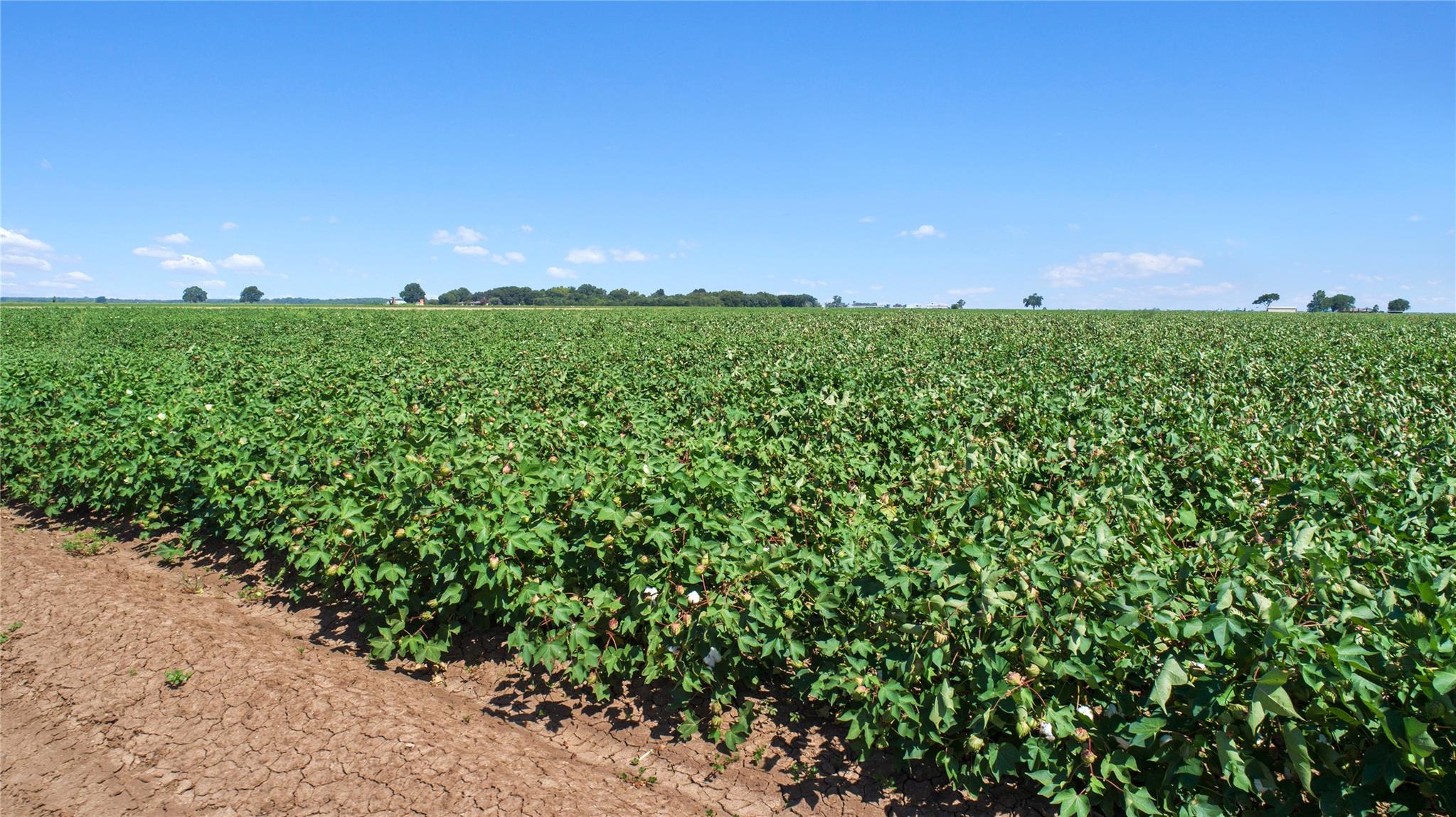 Image 10 of 14 For 12485 Sandy Point Rd