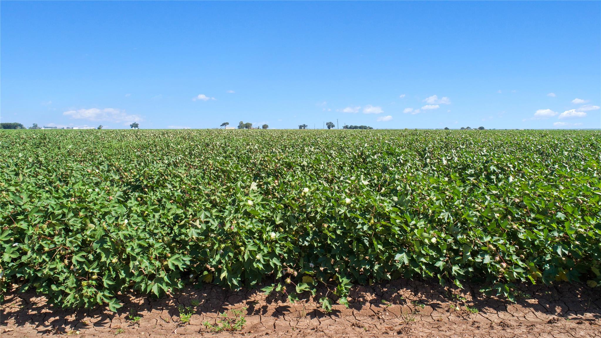 Image 11 of 14 For 12485 Sandy Point Rd