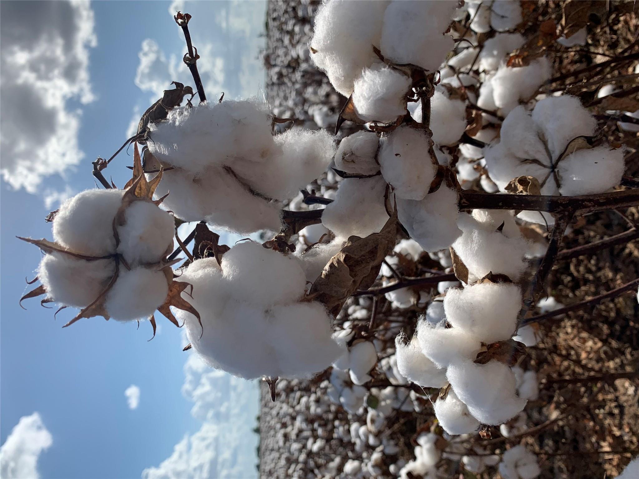 Image 12 of 14 For 12485 Sandy Point Rd