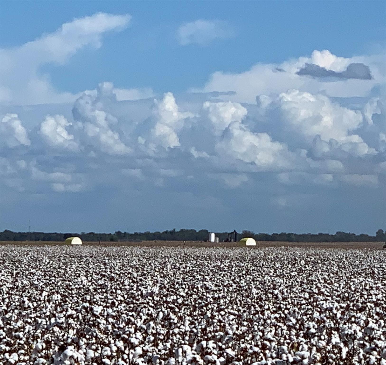 Image 13 of 14 For 12485 Sandy Point Rd