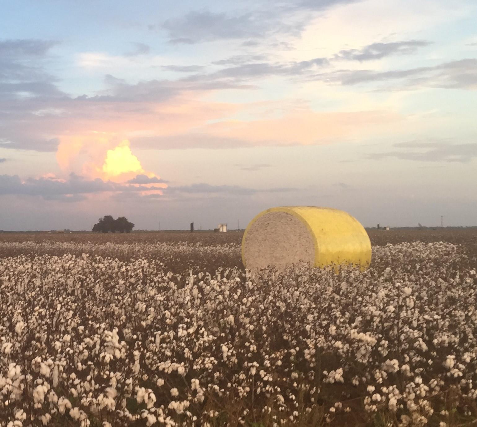 Image 14 of 14 For 12485 Sandy Point Rd