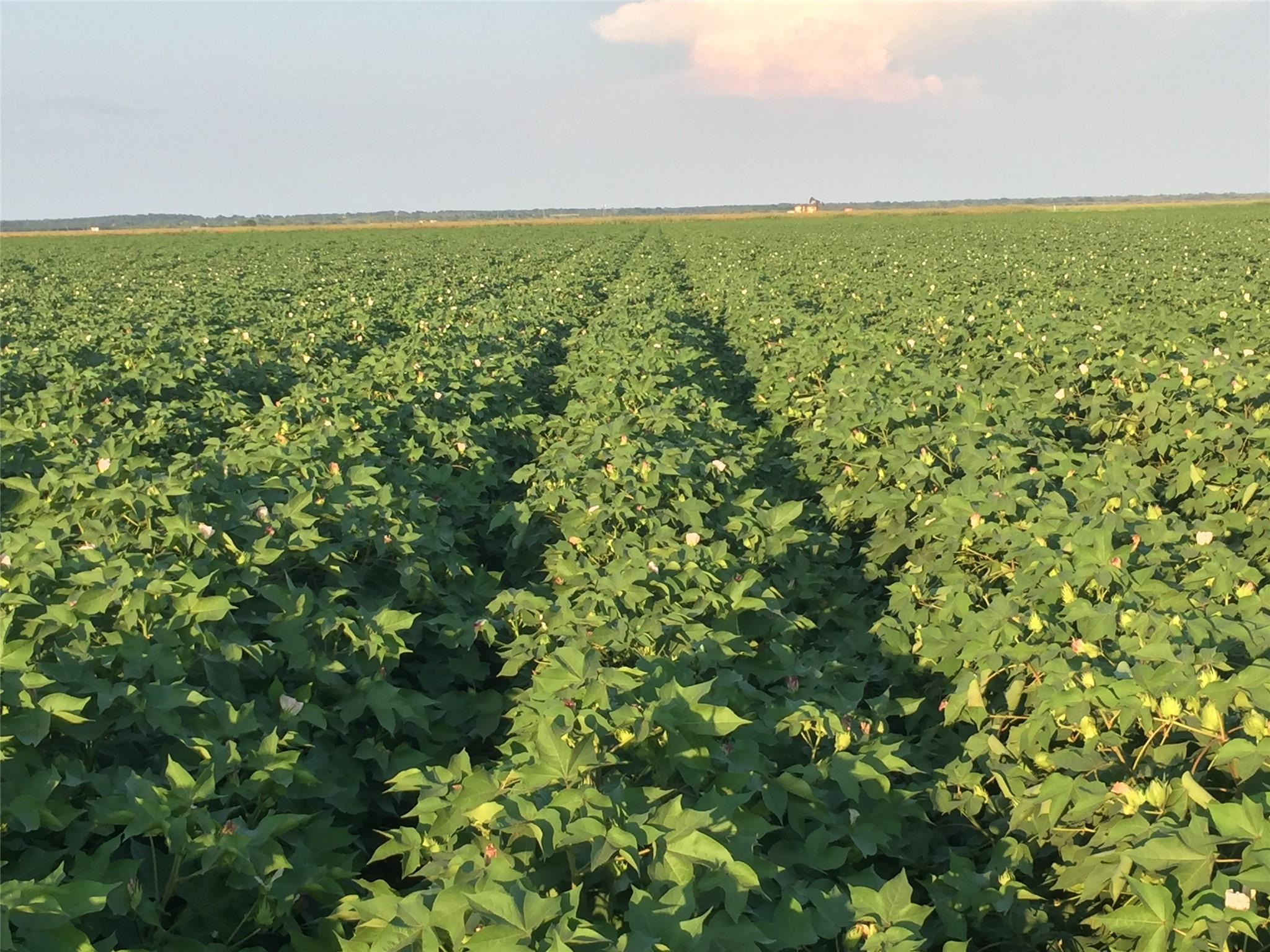 Image 2 of 14 For 12485 Sandy Point Rd