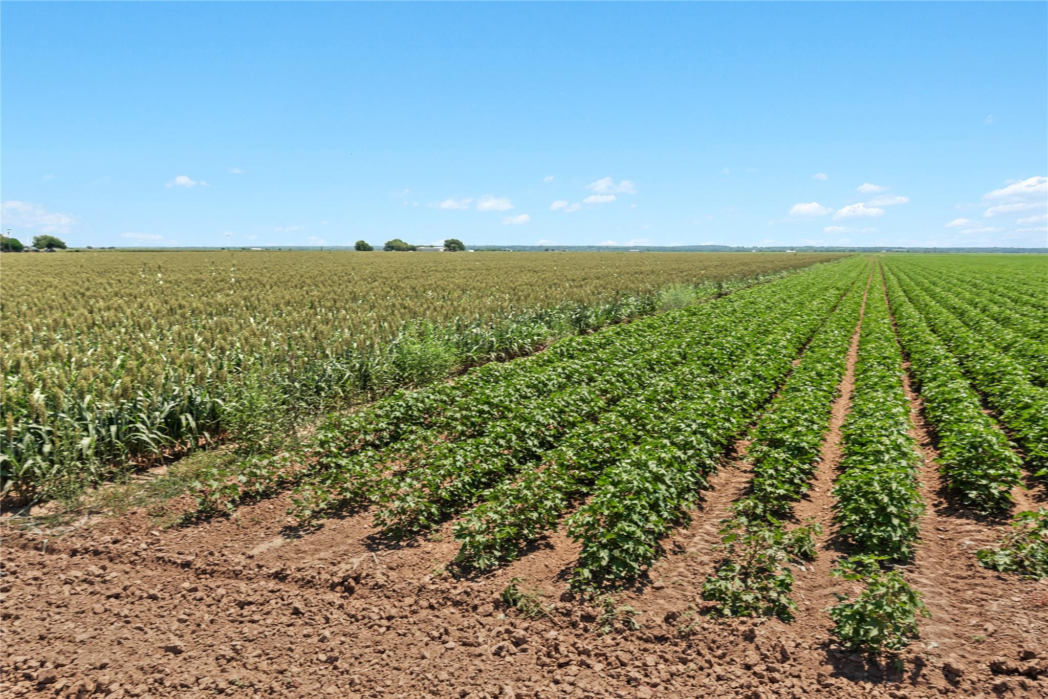 Image 9 of 14 For 12485 Sandy Point Rd