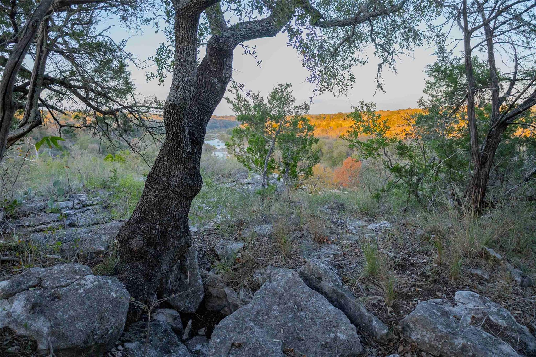 Image 27 of 38 For 8507 Hammett's Crossing