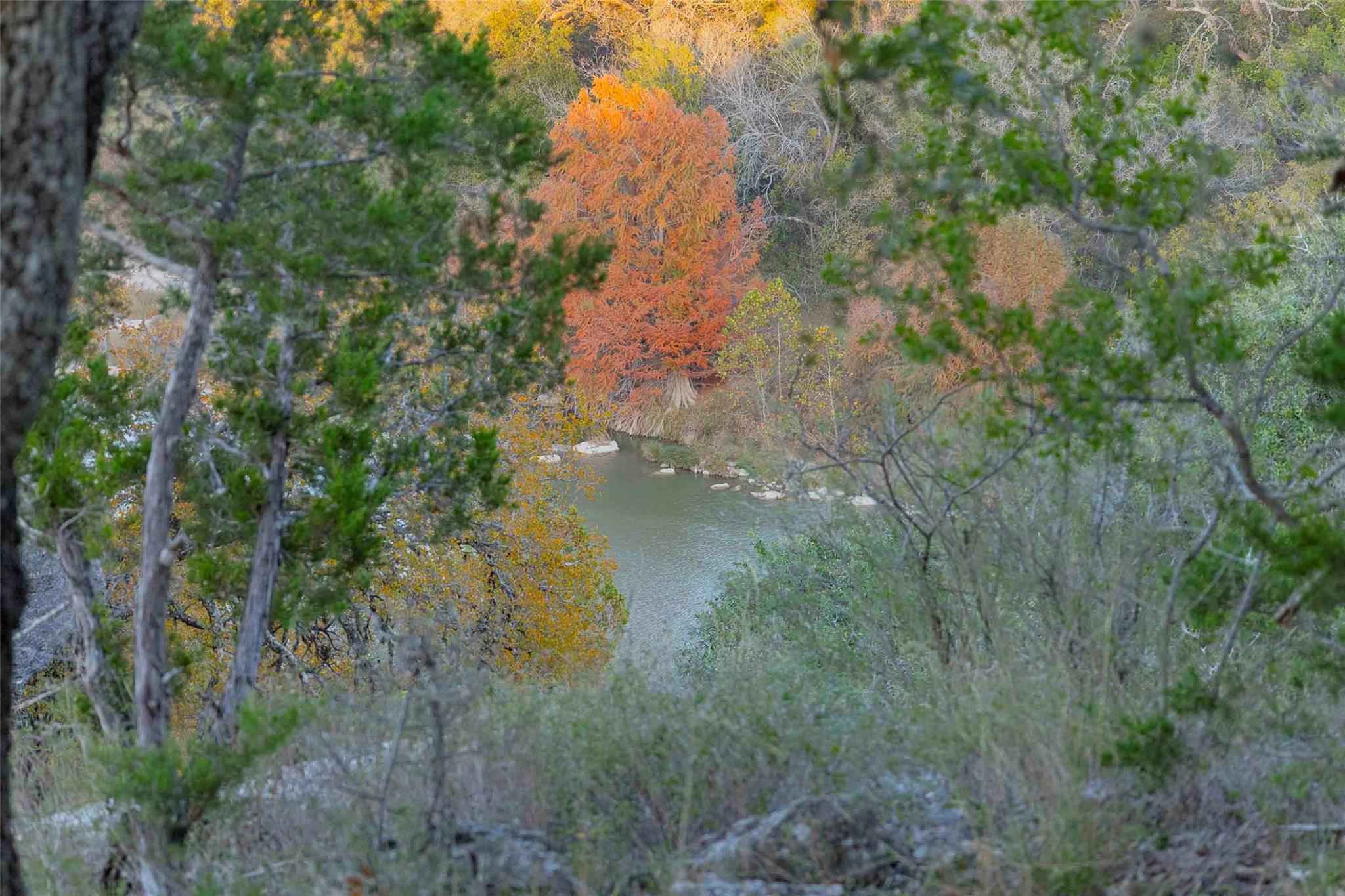 Image 29 of 38 For 8507 Hammett's Crossing