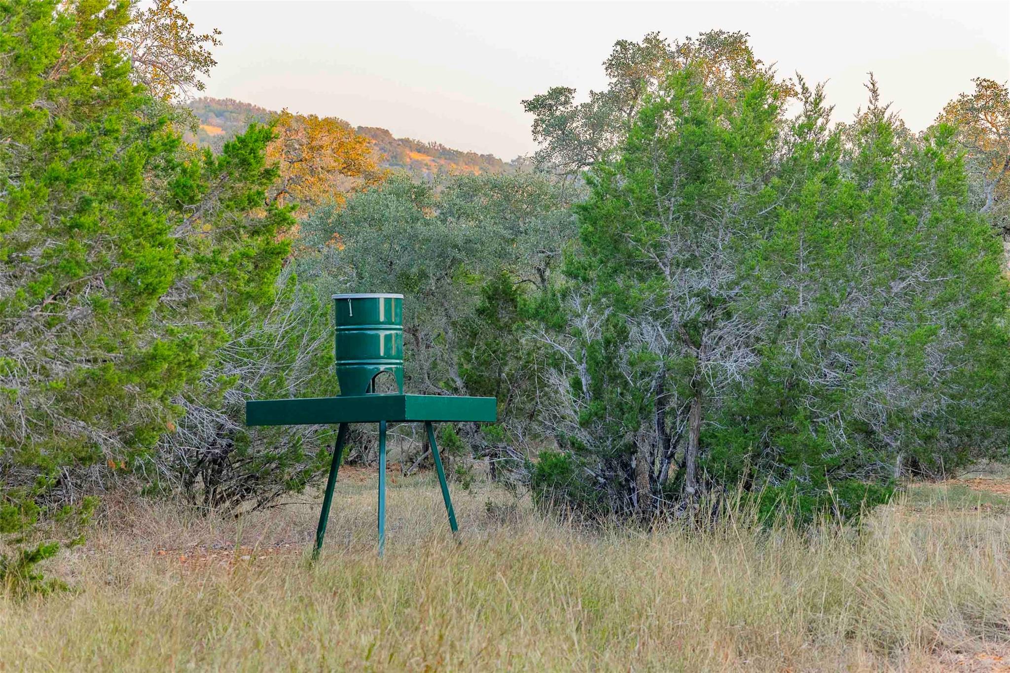 Image 35 of 38 For 8507 Hammett's Crossing