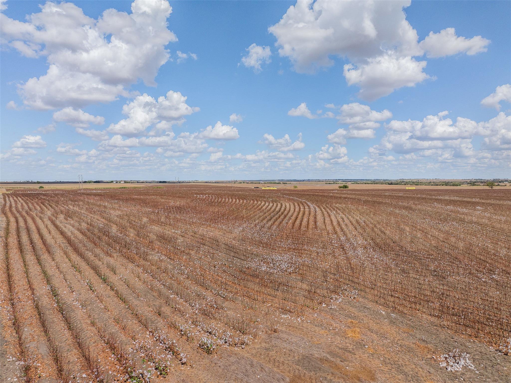 Image 22 of 35 For 000 Wells Ln