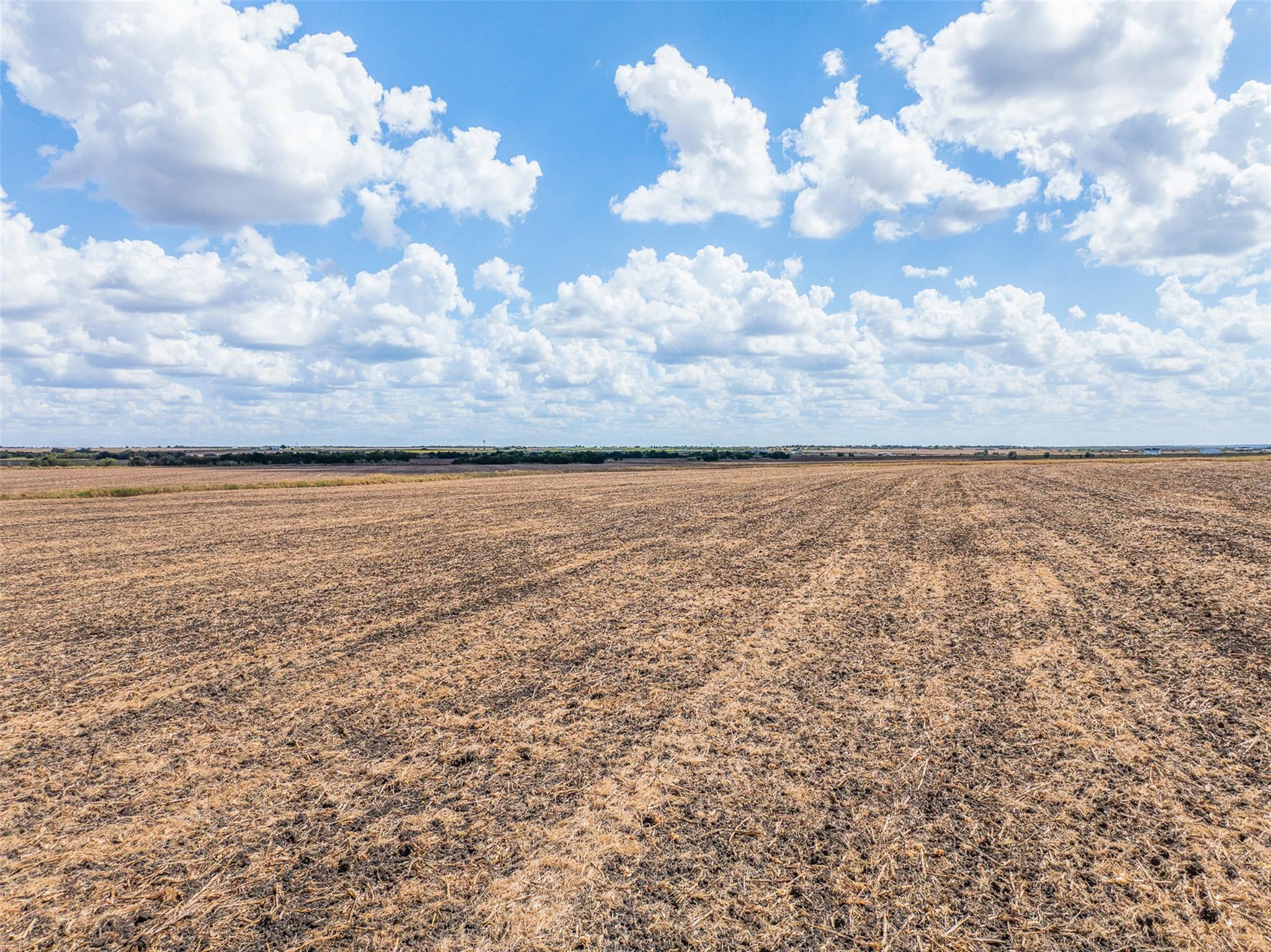 Image 34 of 35 For 000 Wells Ln