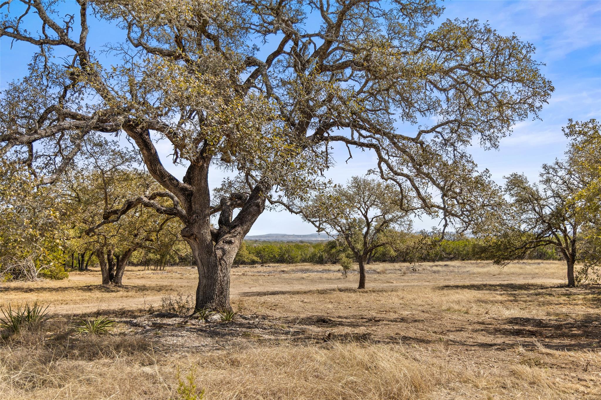 Image 5 of 12 For 727 Becker Road