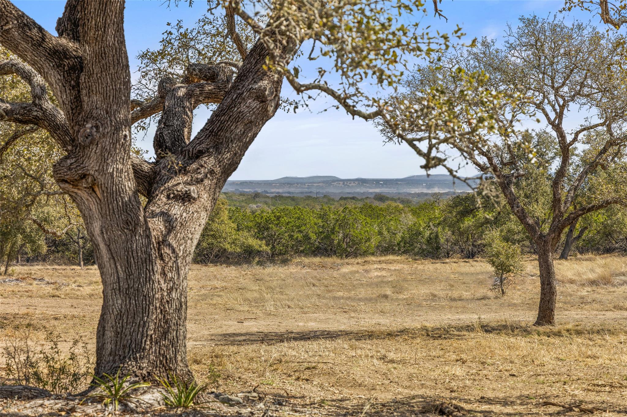 Image 6 of 12 For 727 Becker Road