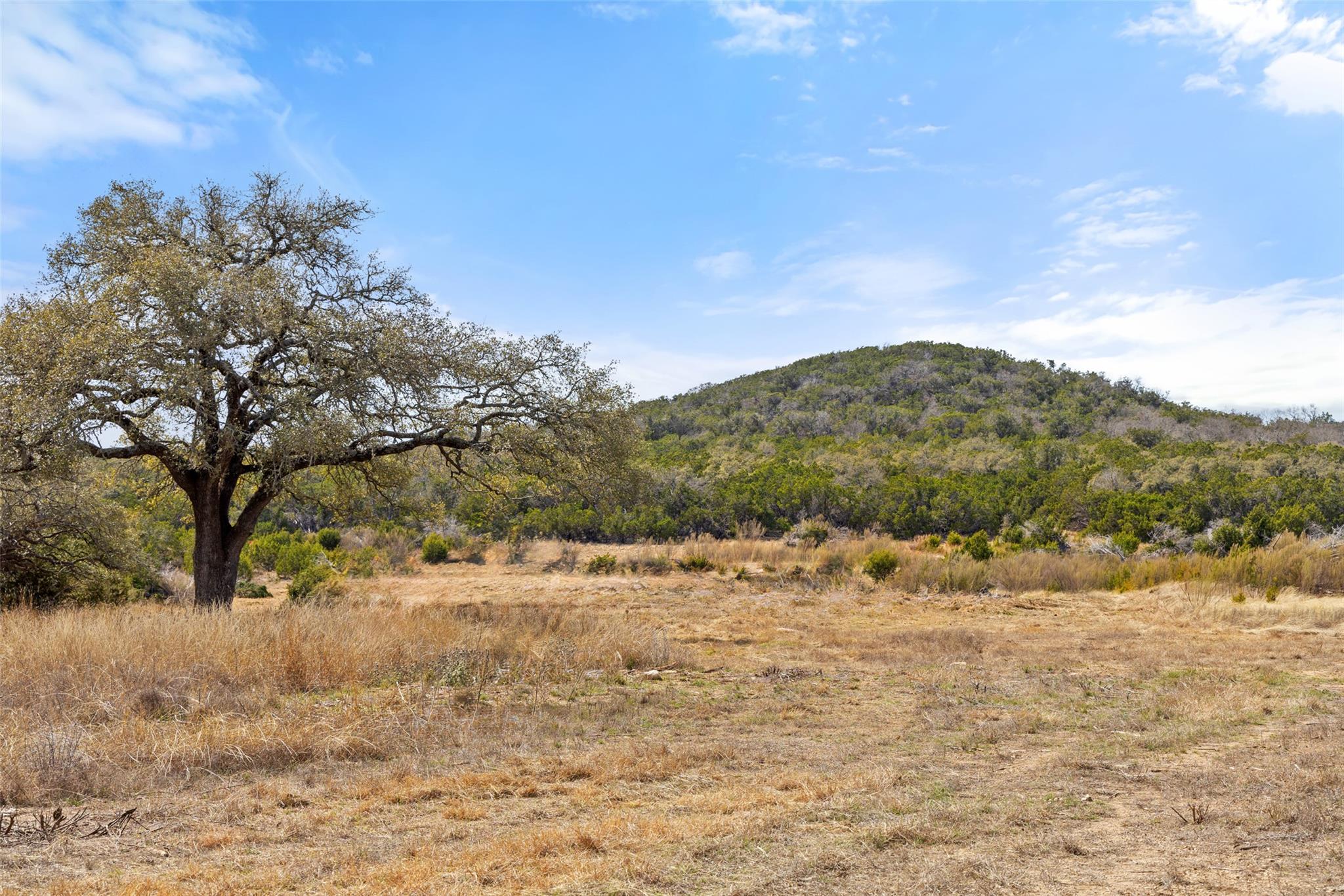 Image 7 of 12 For 727 Becker Road