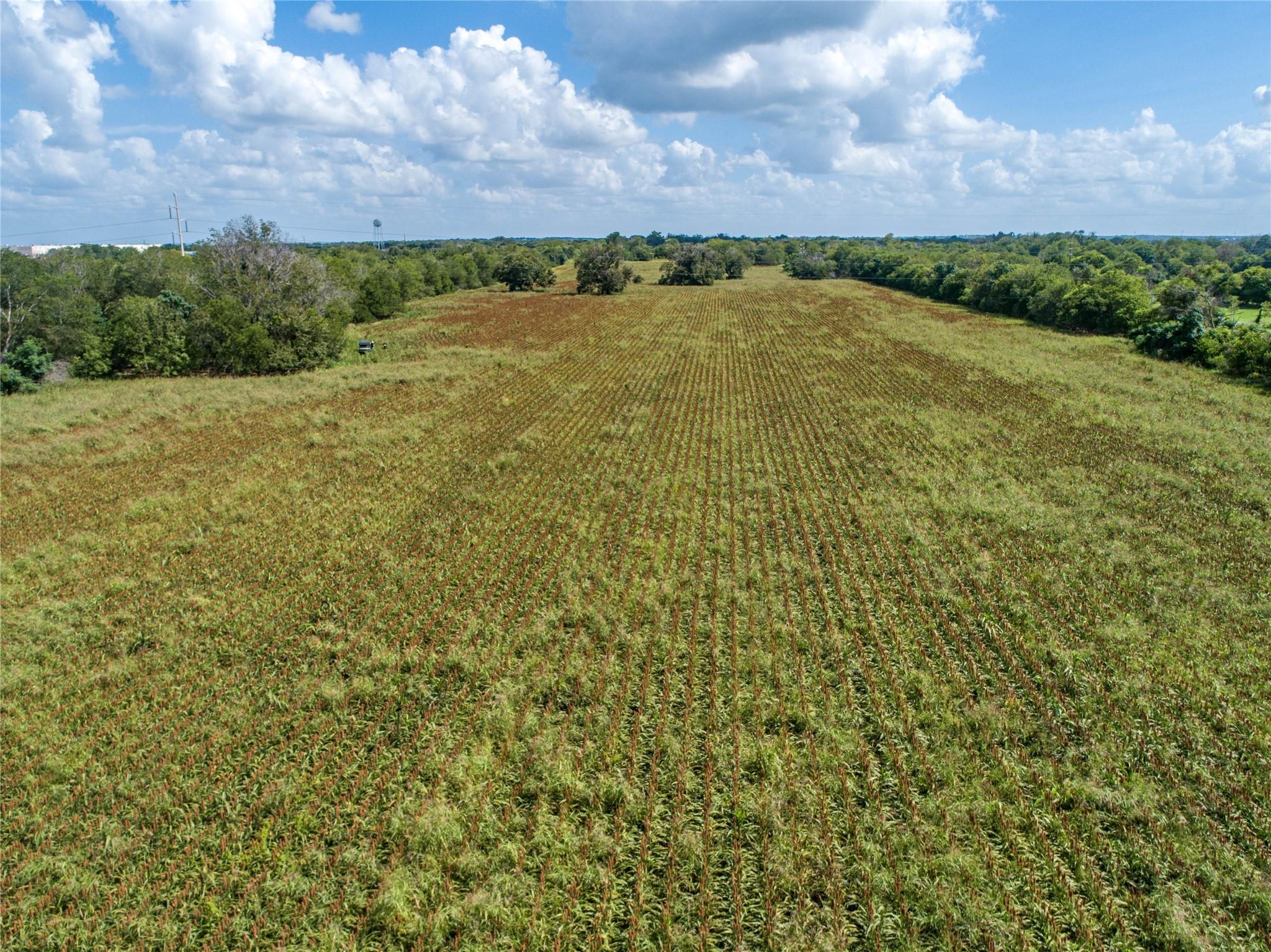 Image 10 of 26 For 2950 Ih 10 Highway