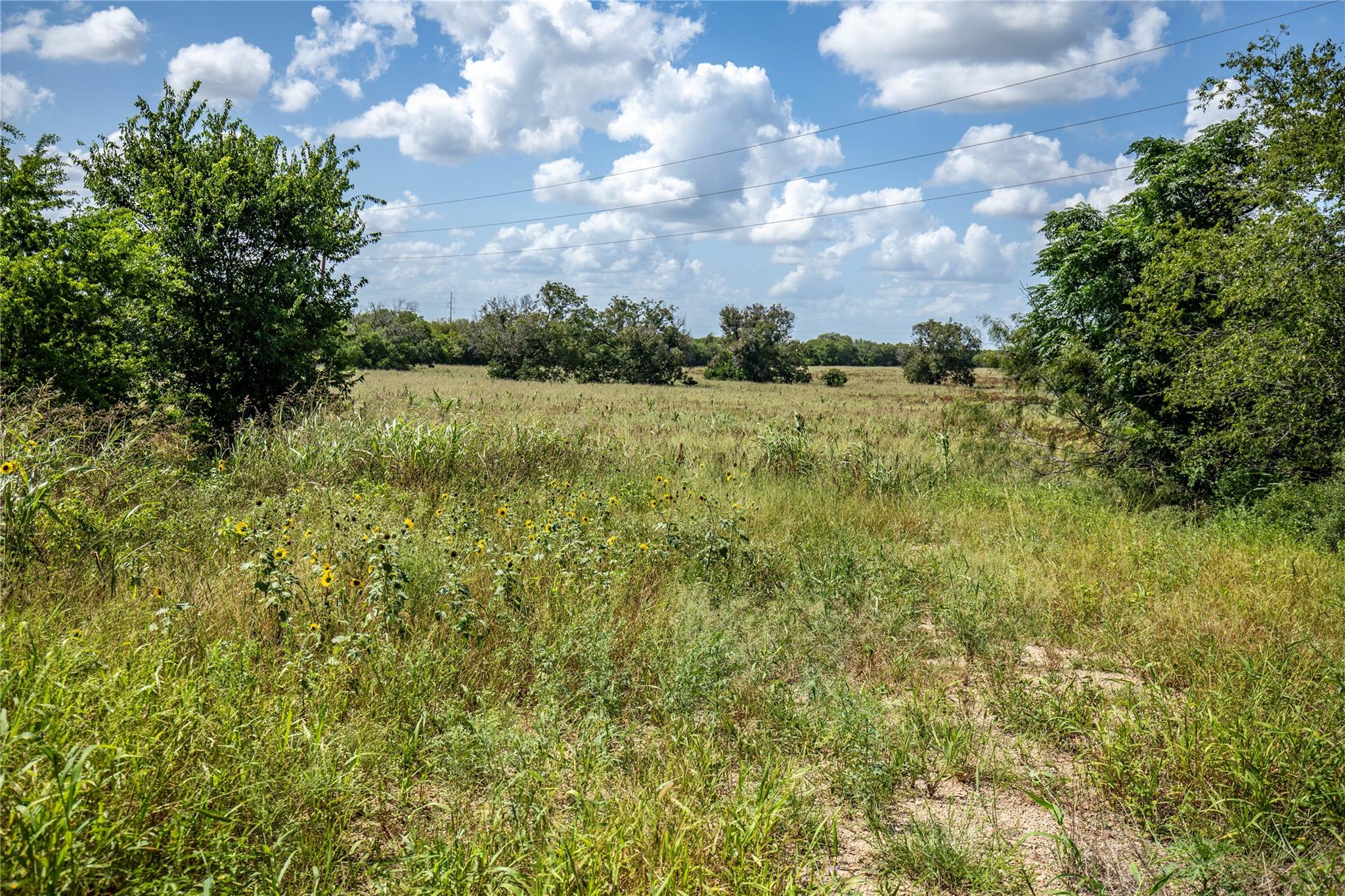 Image 17 of 26 For 2950 Ih 10 Highway