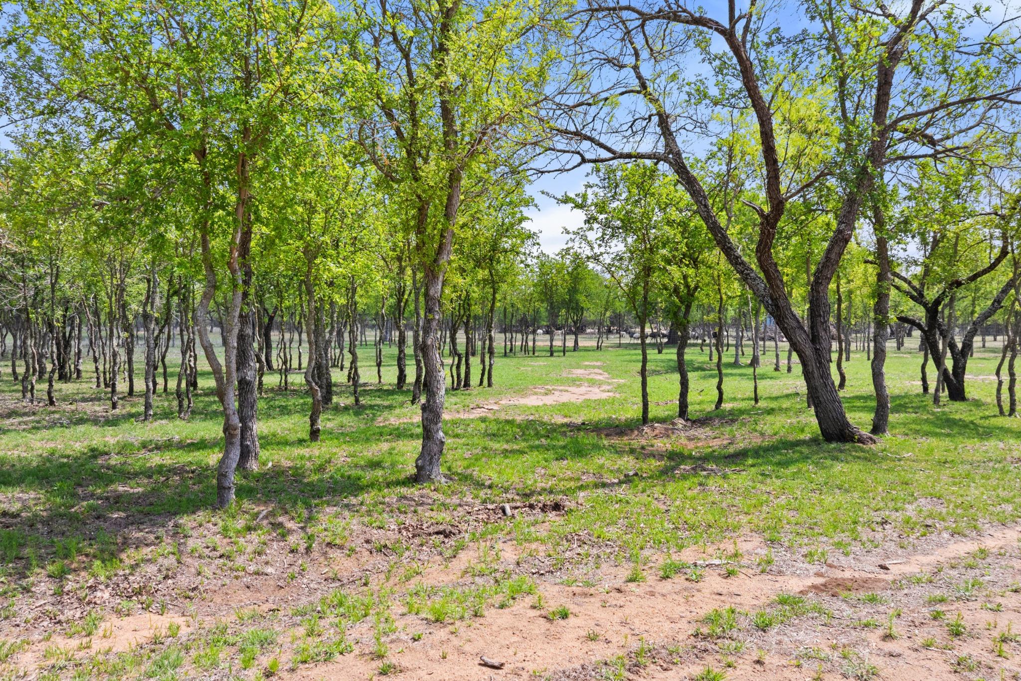 Image 35 of 40 For 10900 Ranch Road 1323