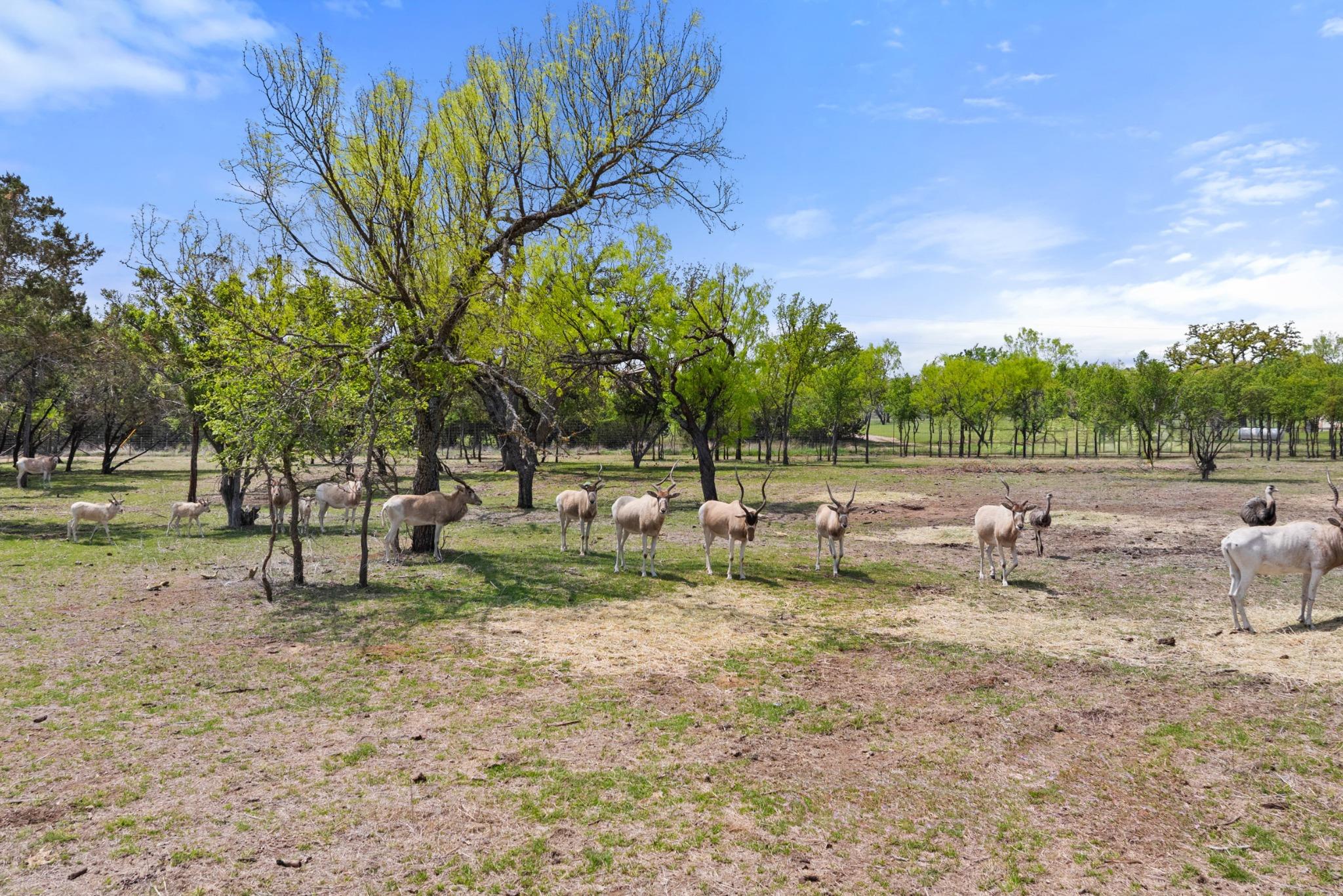Image 37 of 40 For 10900 Ranch Road 1323