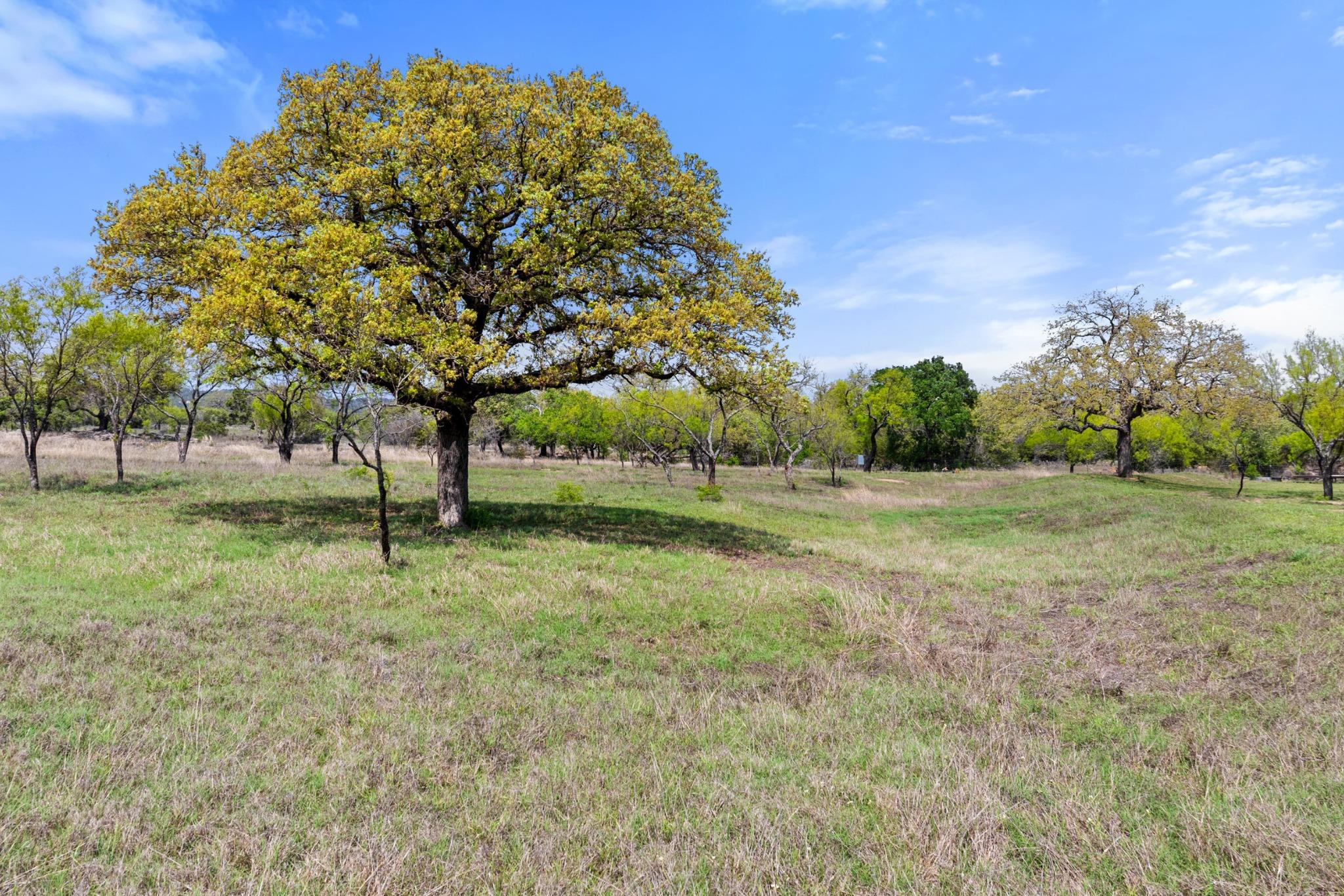 Image 38 of 40 For 10900 Ranch Road 1323