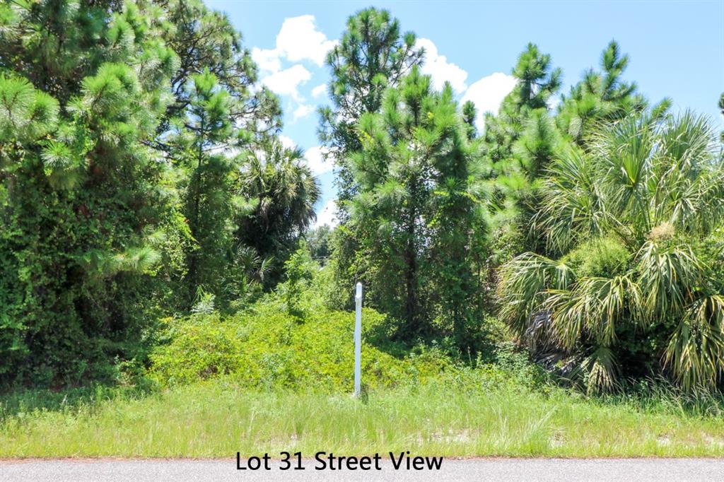 Image 12 of 16 For Lot 30 Venetia Avenue