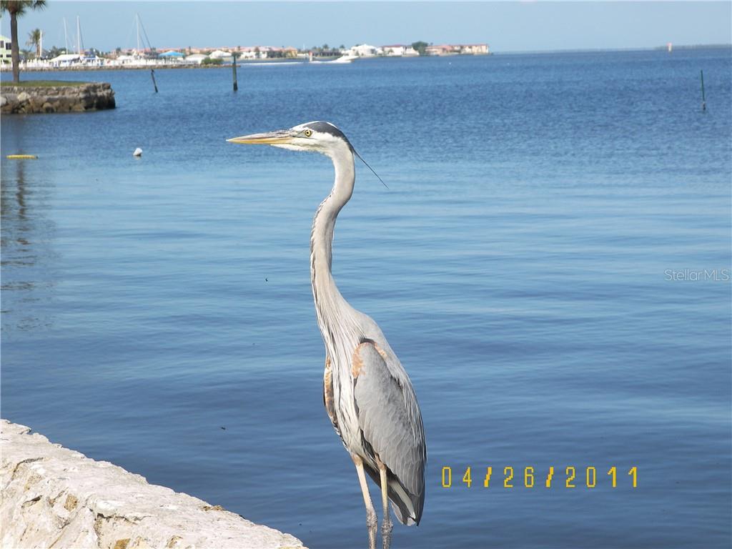 Image 8 of 16 For 5987 David Boulevard